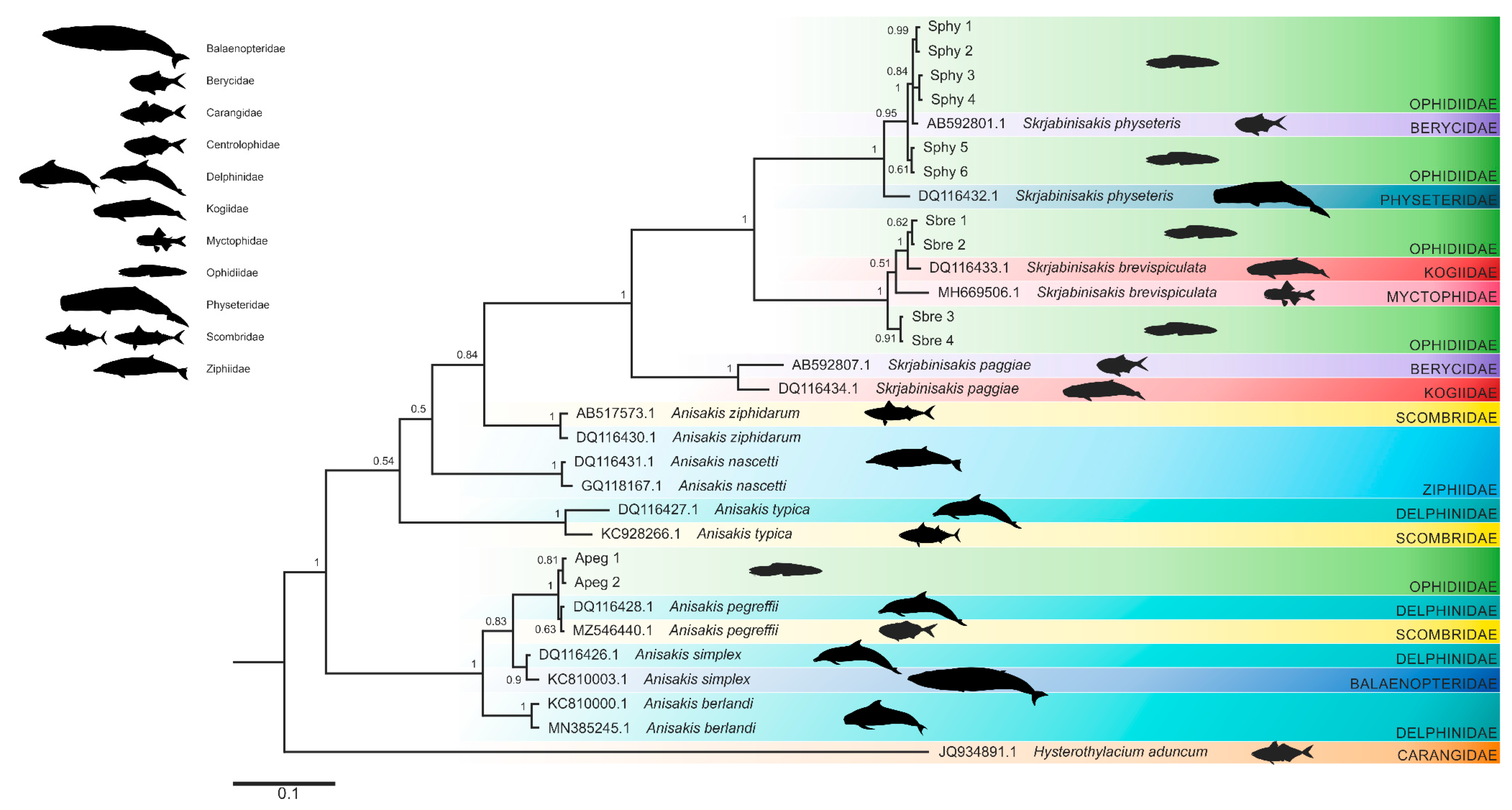 Diversity 15 00820 g004 Diversity 15 00820 g004