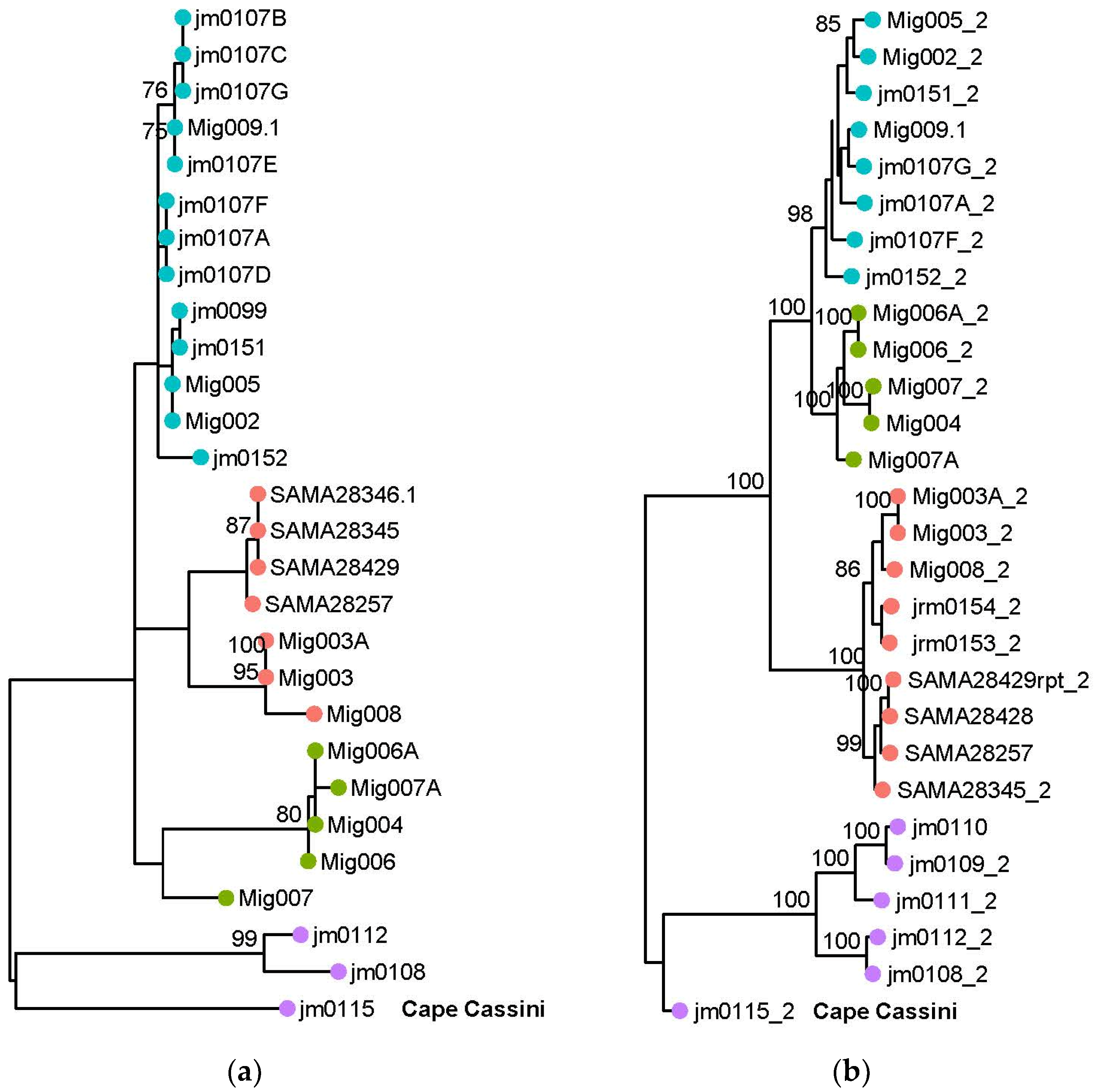 Diversity 15 00827 g004