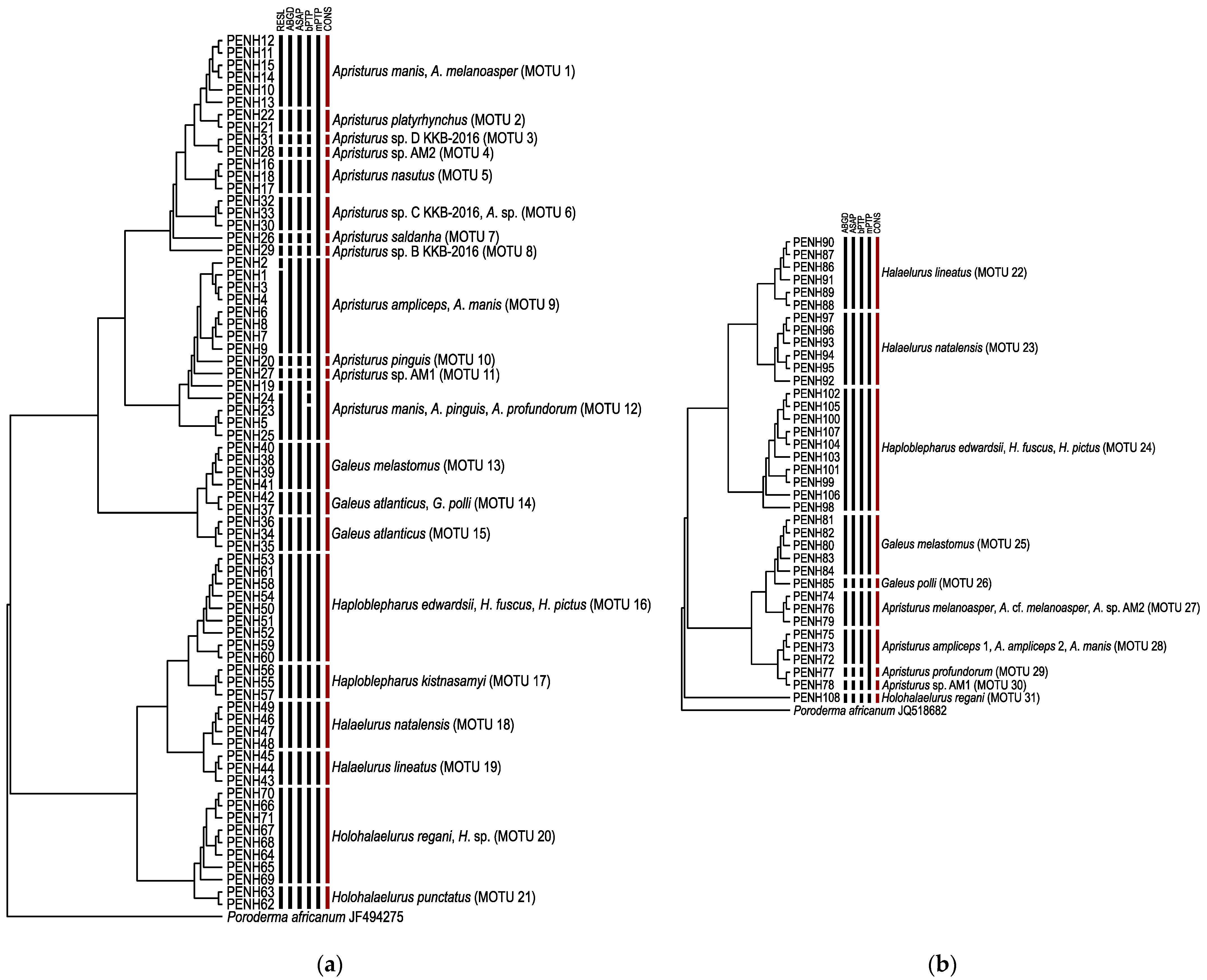 Diversity 15 00828 g002 Diversity 15 00828 g002