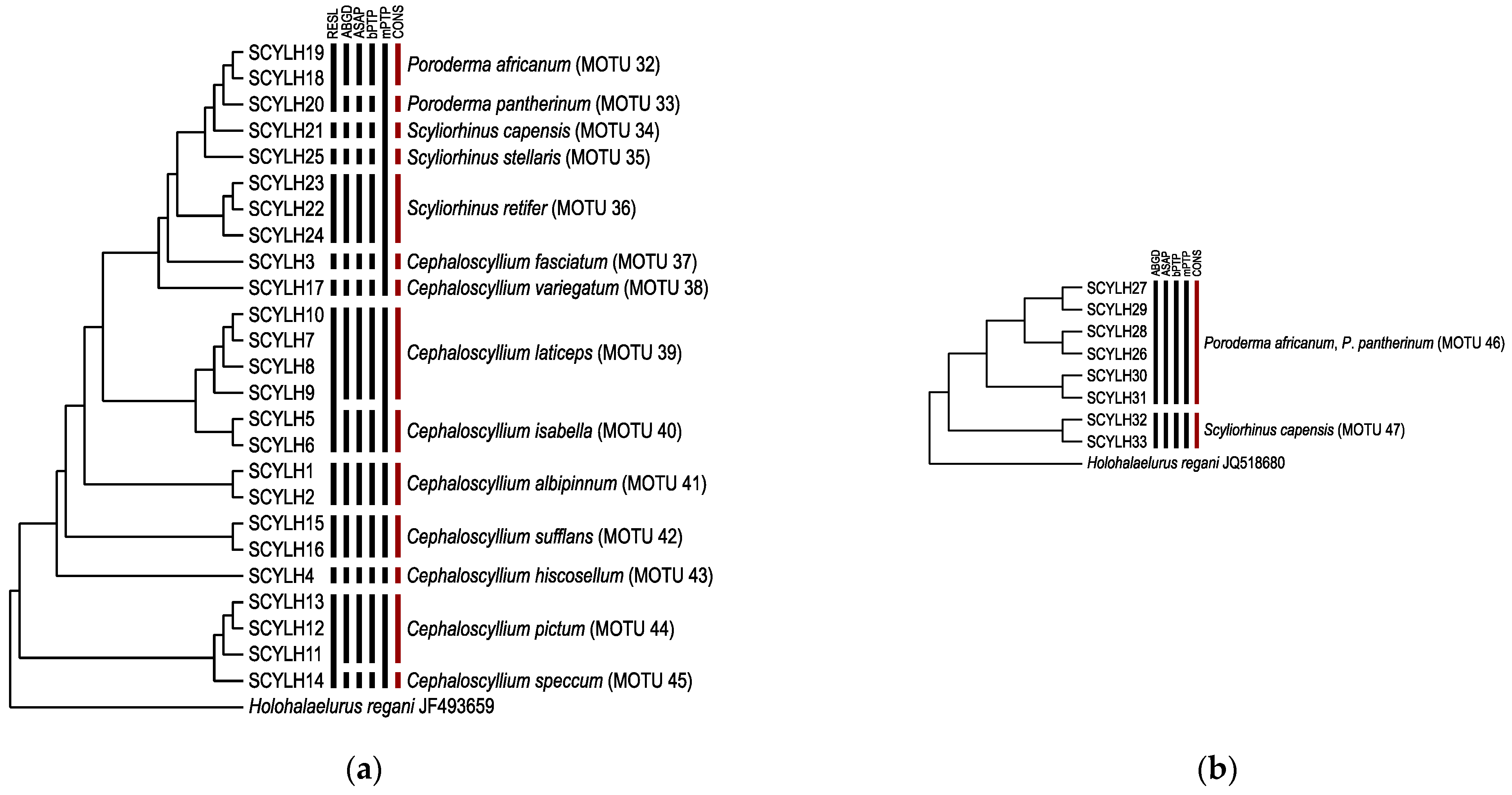 Diversity 15 00828 g004 Diversity 15 00828 g004