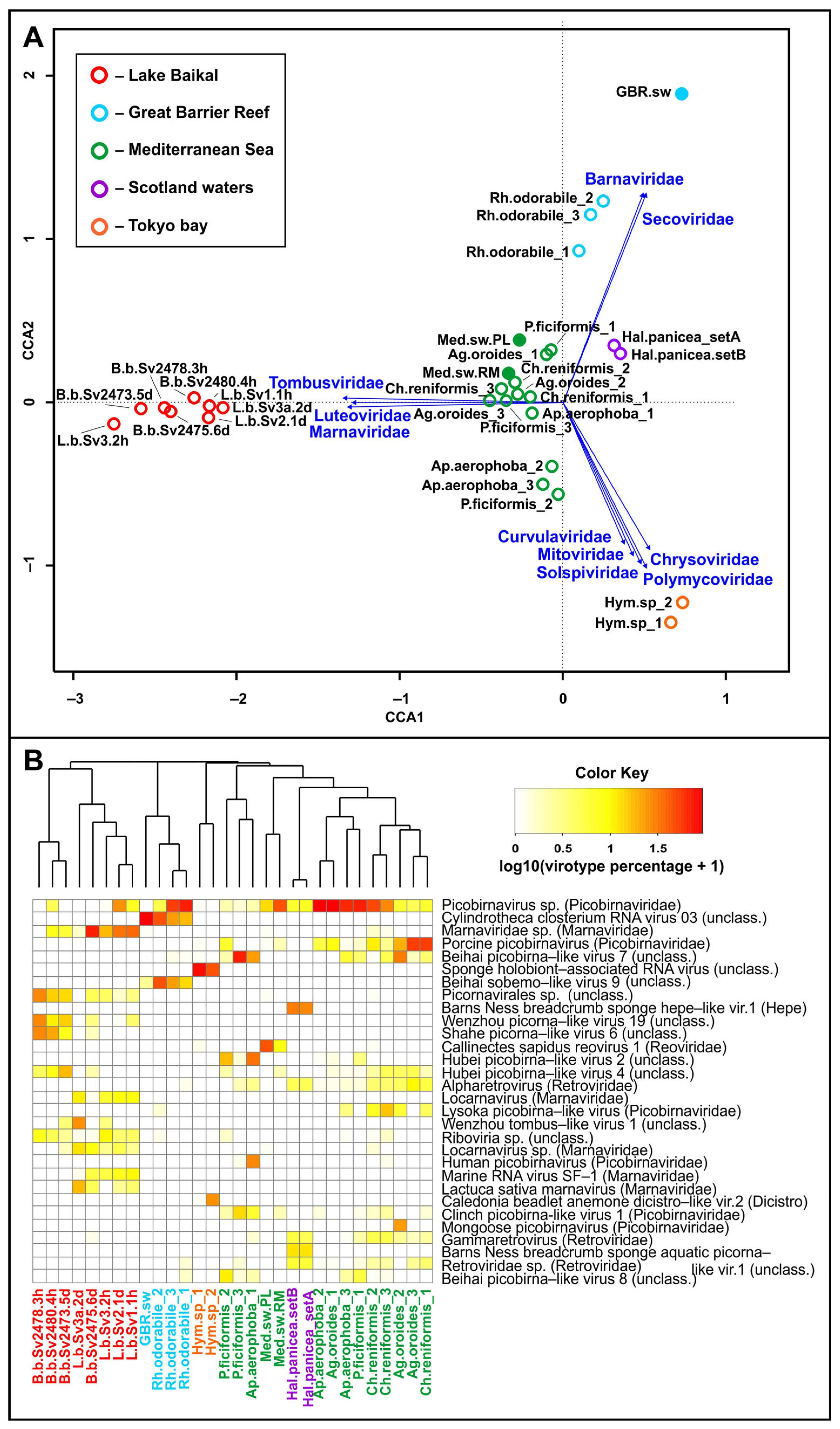 Diversity 15 00835 g002