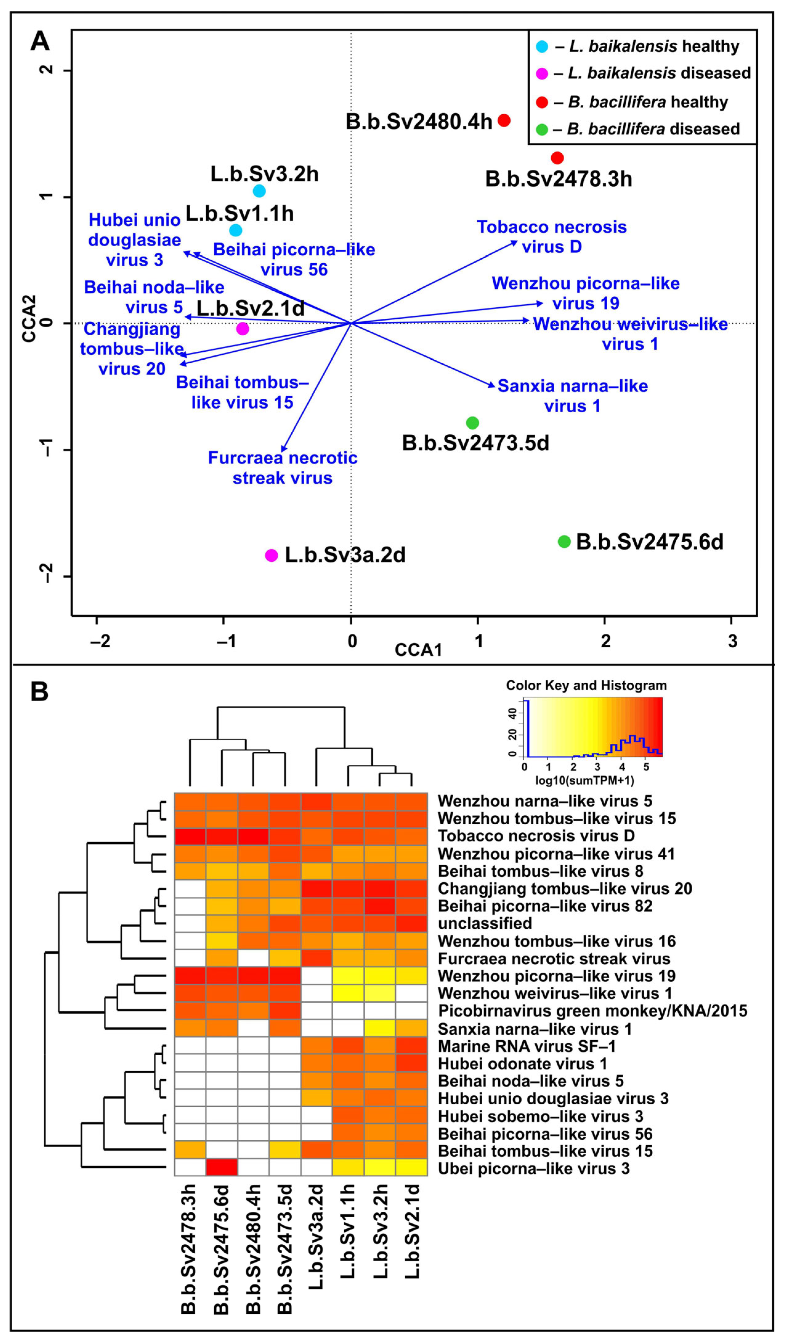 Diversity 15 00835 g003