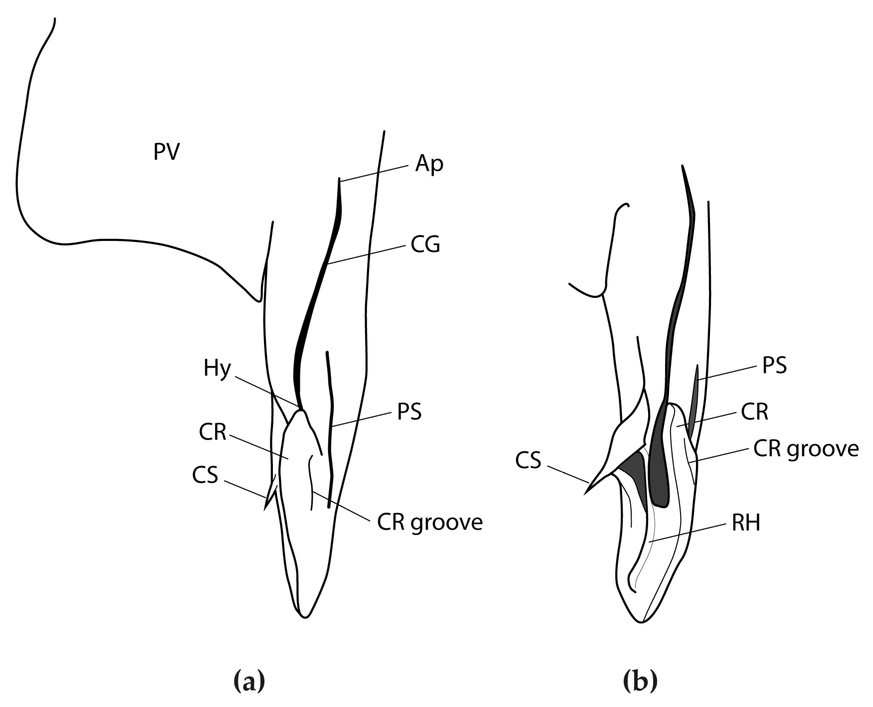 Diversity 15 00849 g005