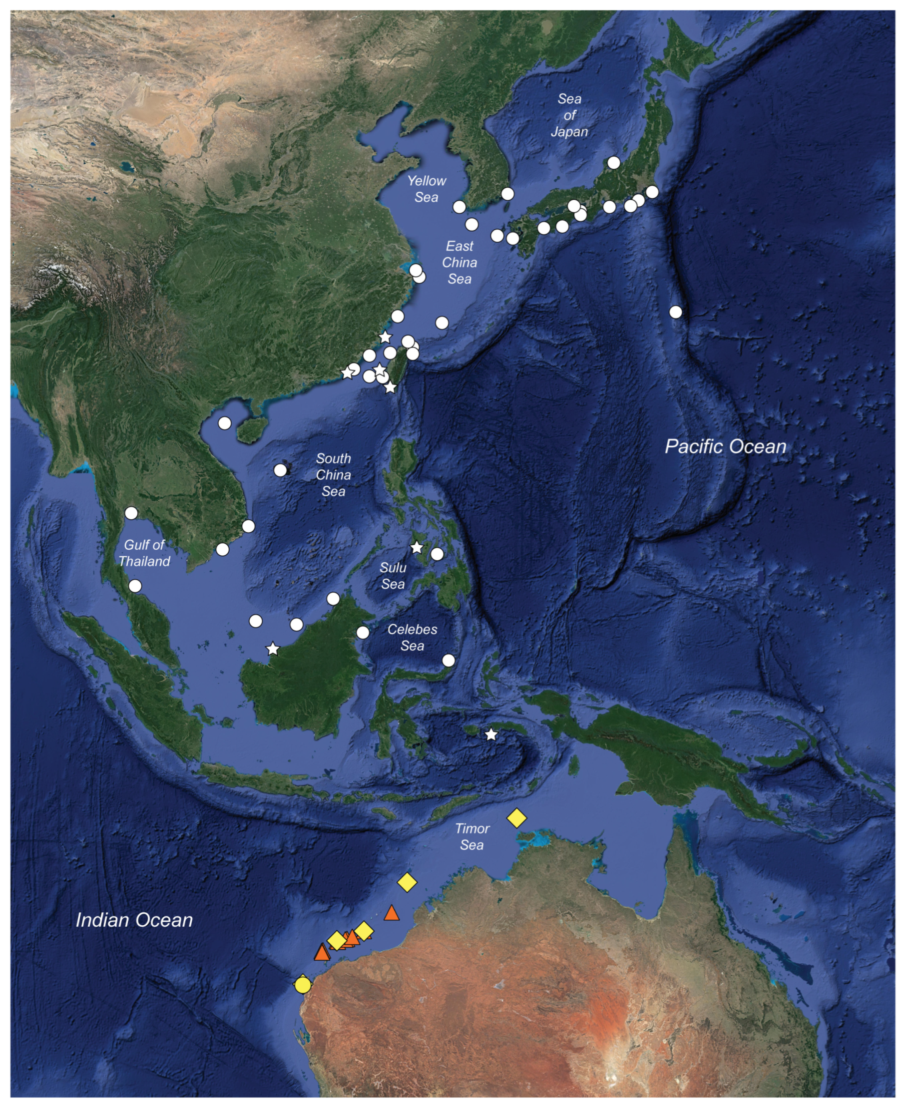 Diversity 15 00849 g010