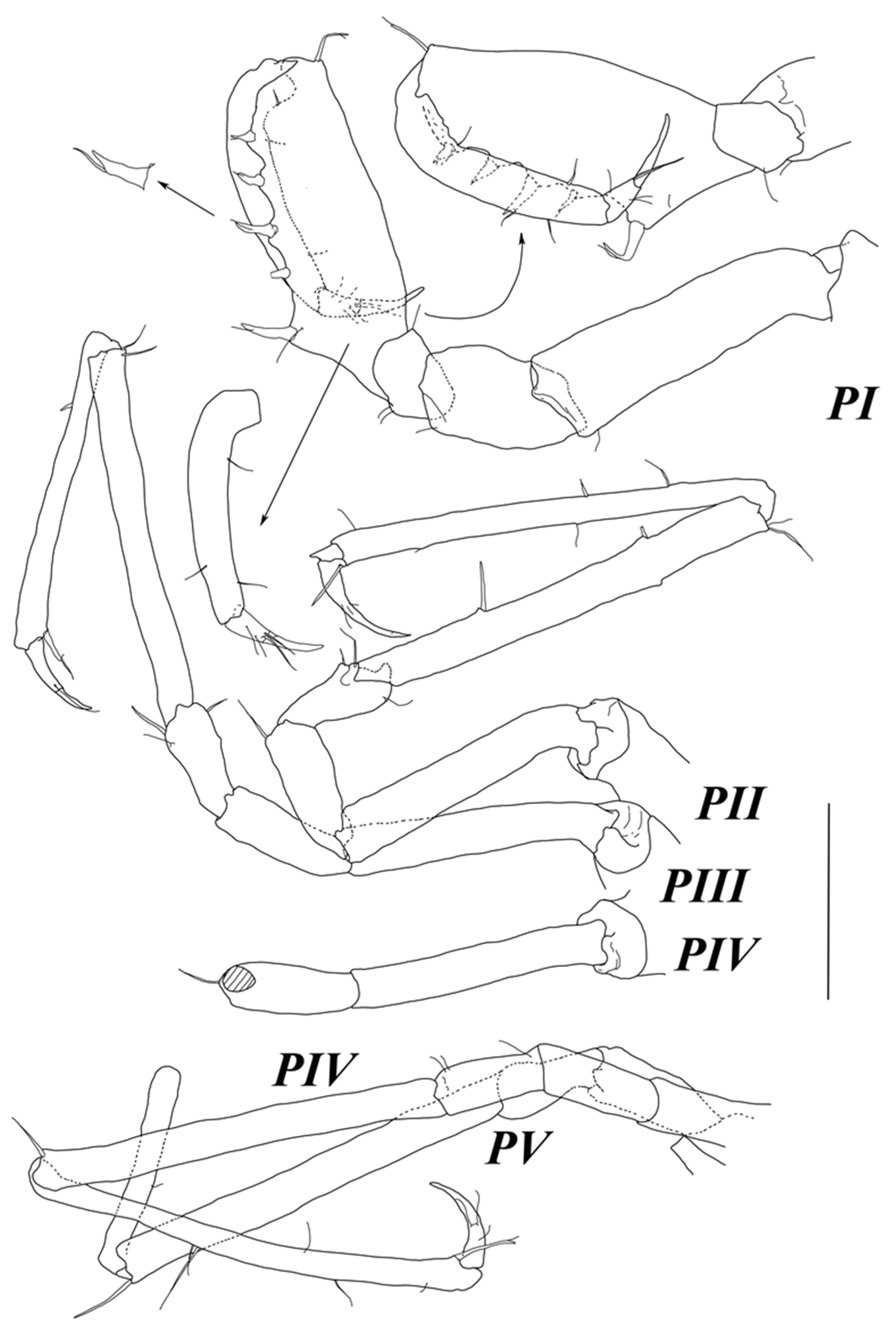 Diversity 15 00850 g004