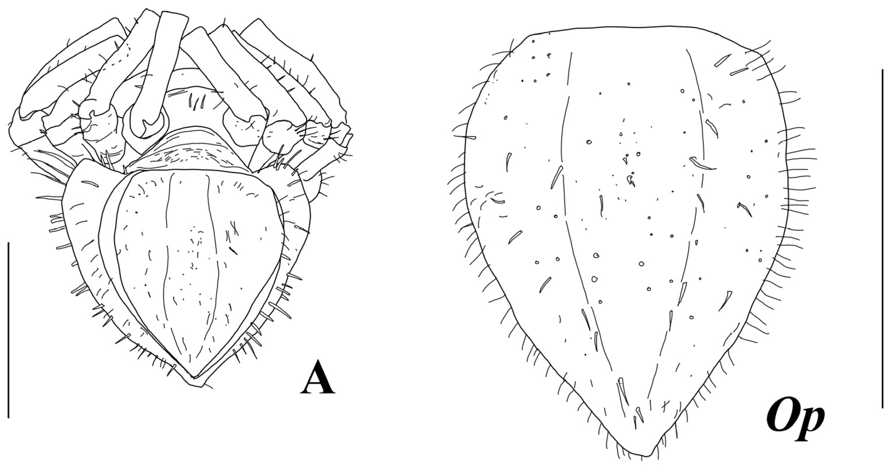 Diversity 15 00850 g012