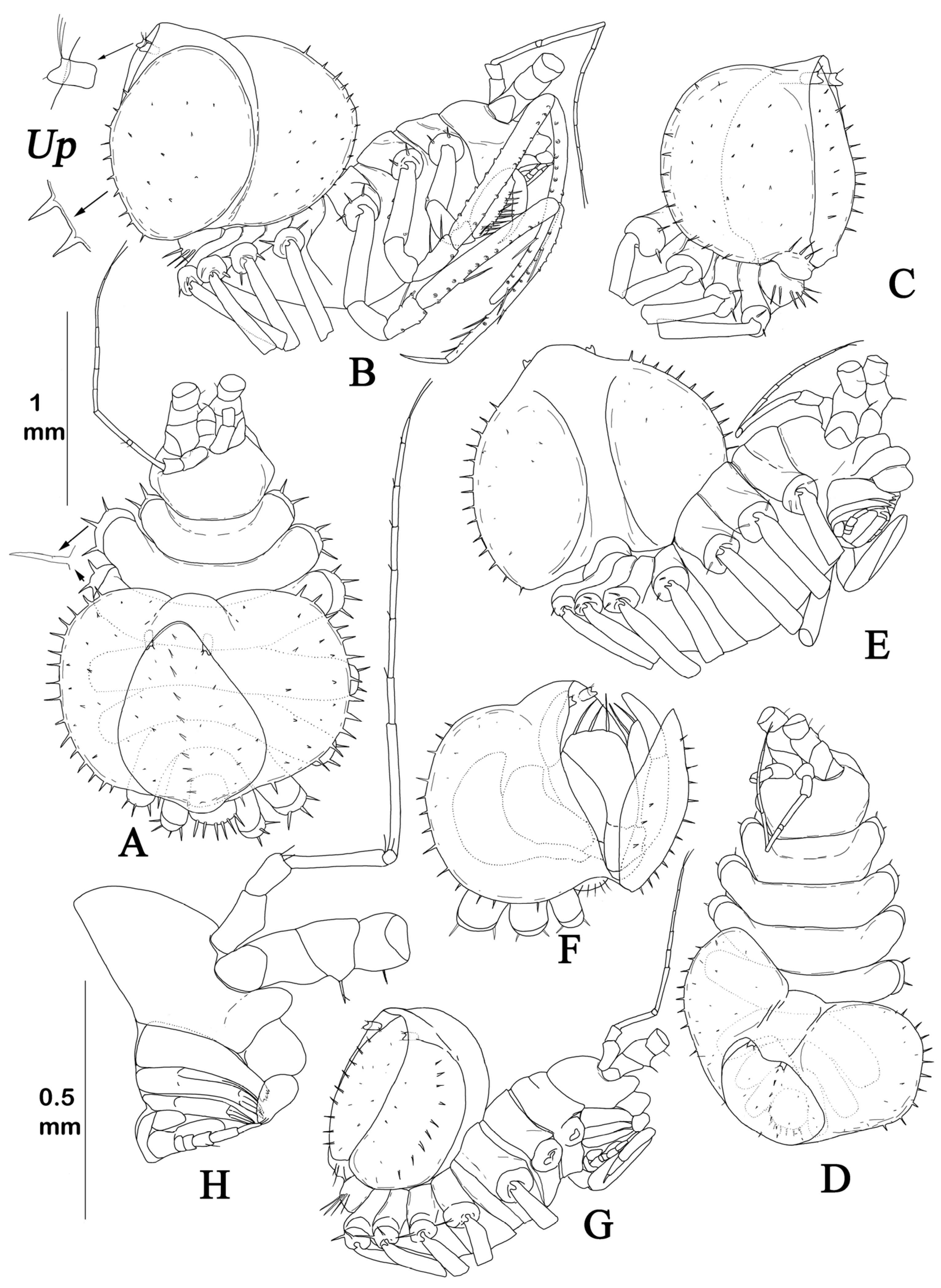 Diversity 15 00850 g013