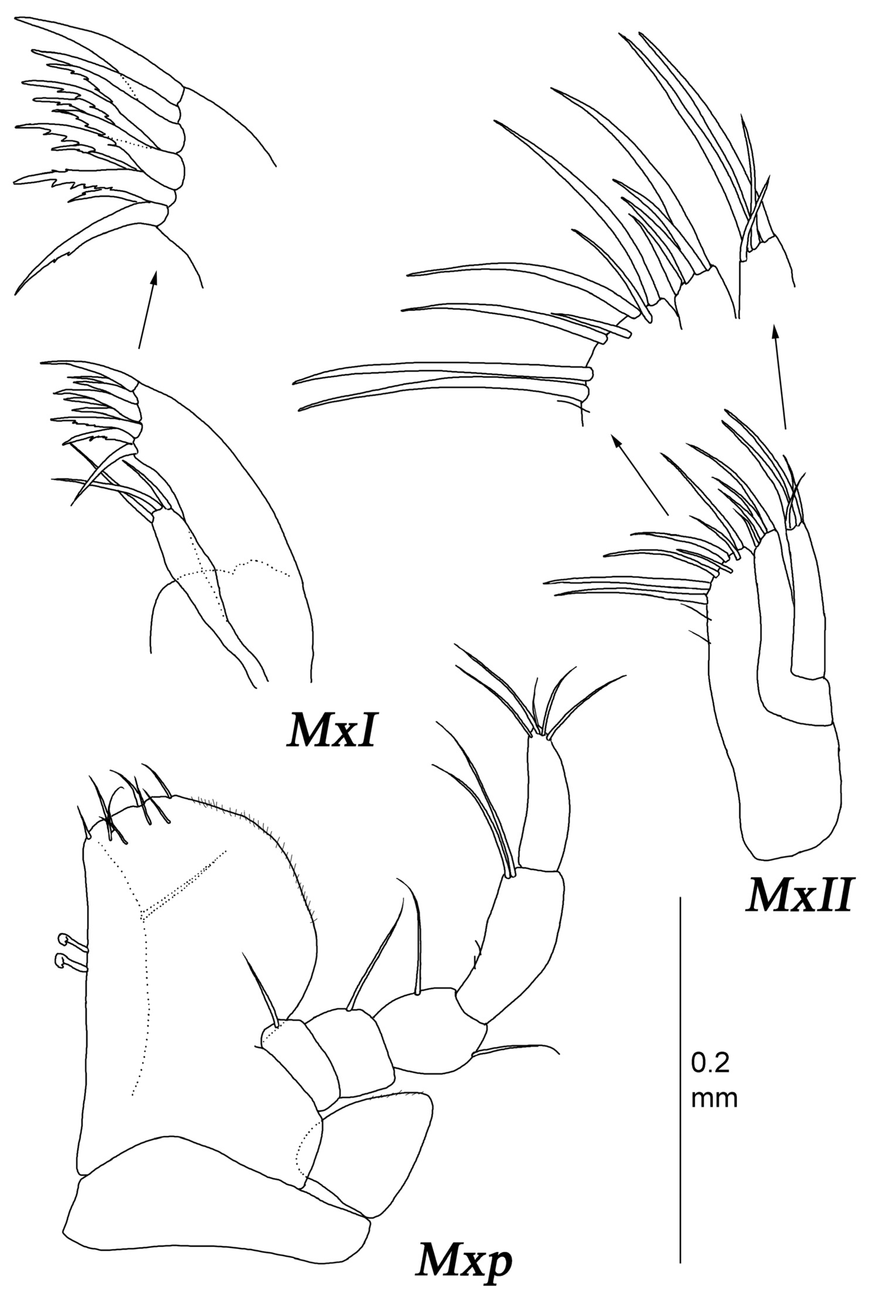 Diversity 15 00850 g015
