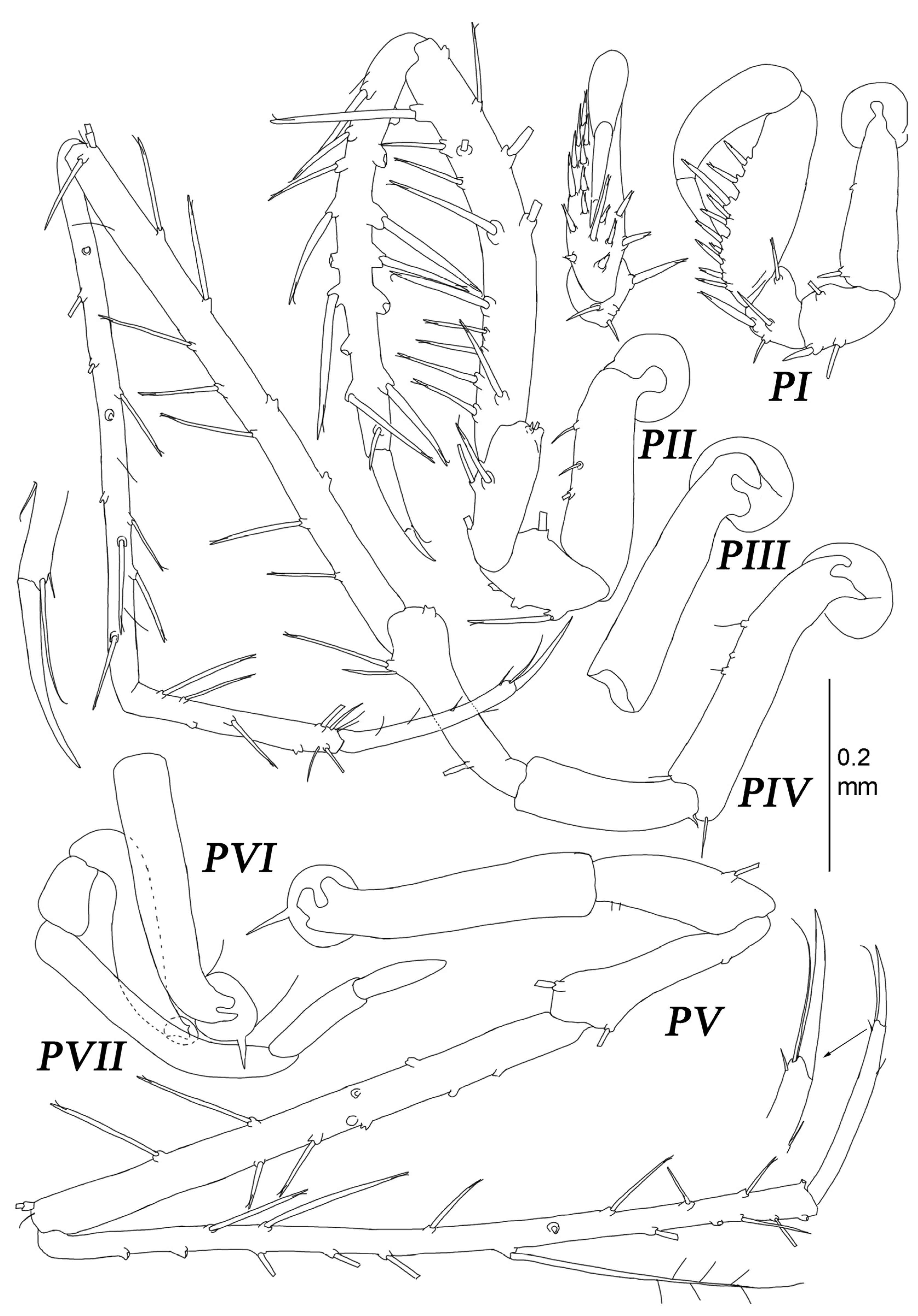 Diversity 15 00850 g017