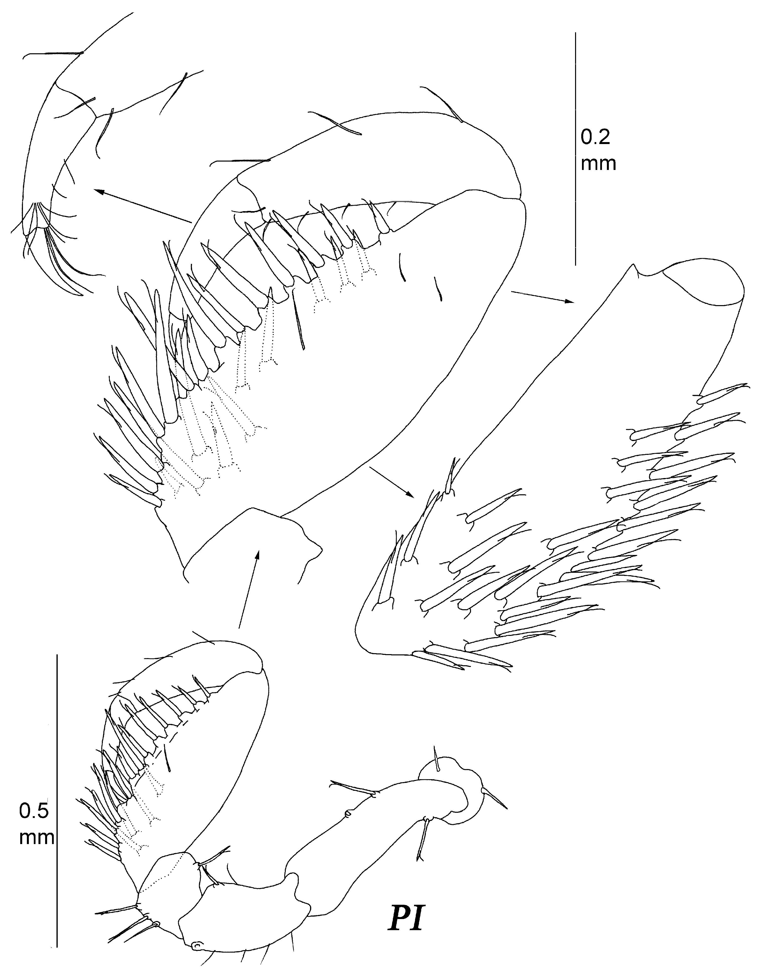Diversity 15 00850 g018
