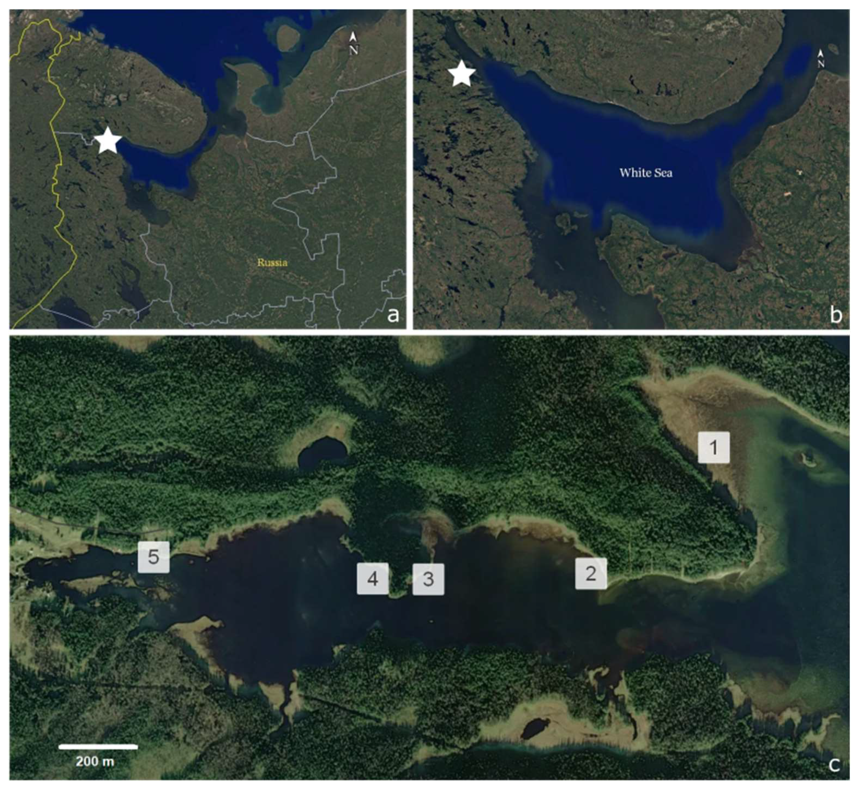 Diversity 15 00873 g001