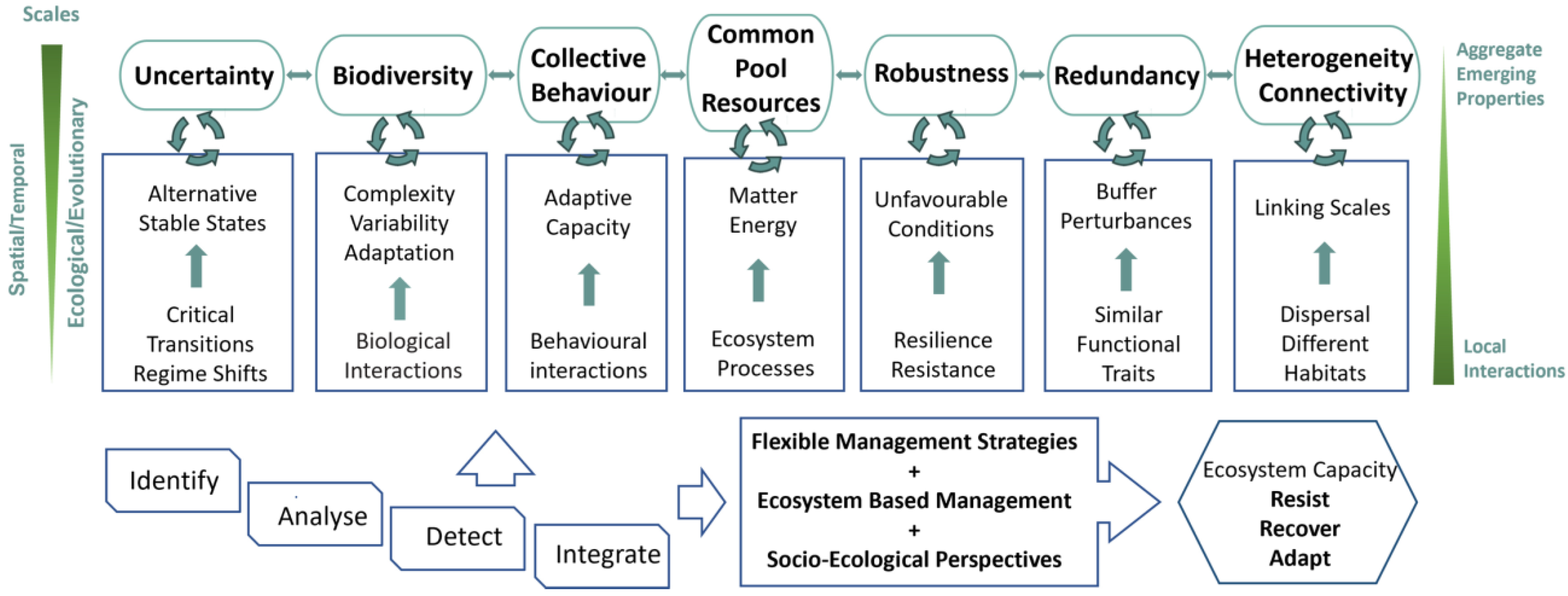 Diversity 15 00895 g004 Diversity 15 00895 g004