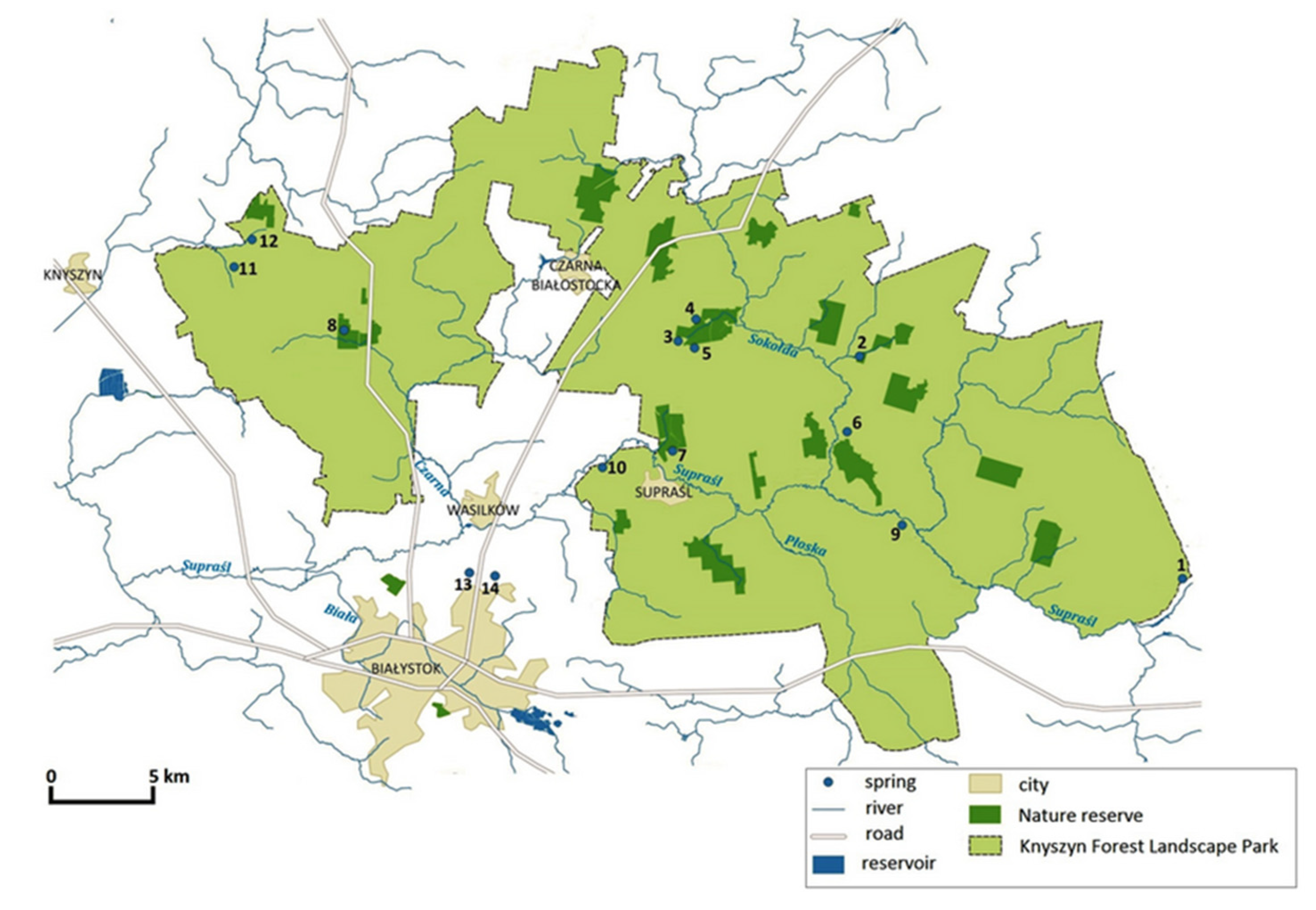 Diversity 15 00897 g001