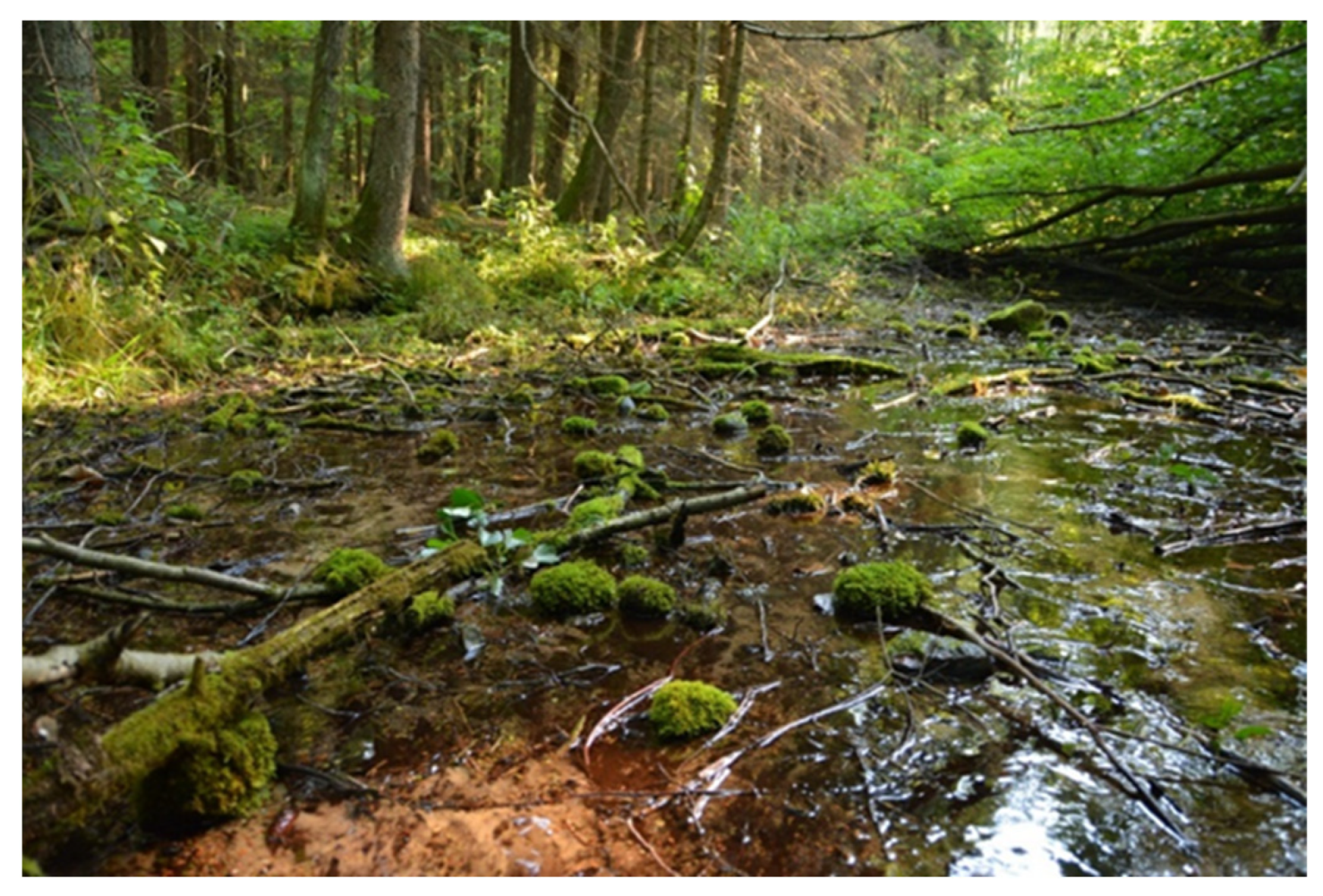 Diversity 15 00897 g002