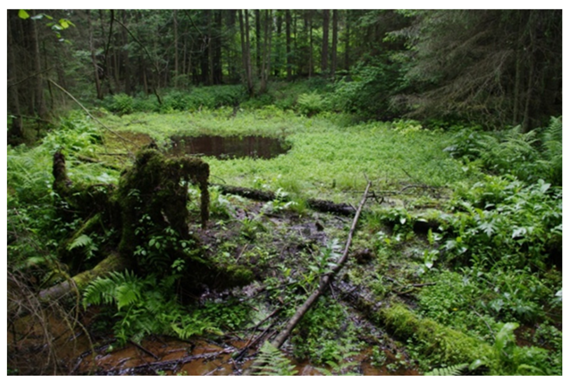 Diversity 15 00897 g003