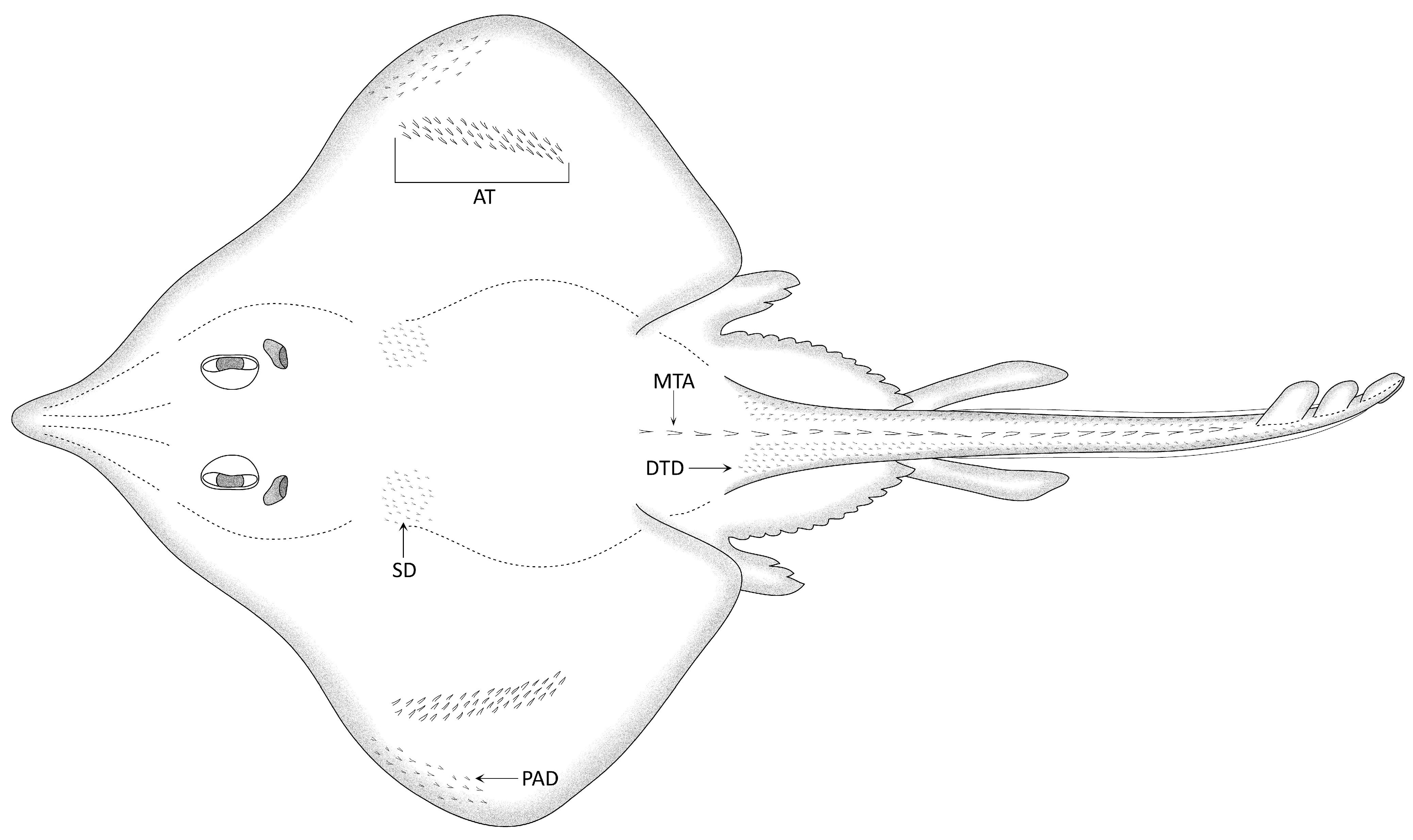 Diversity 15 00899 g001 Diversity 15 00899 g001
