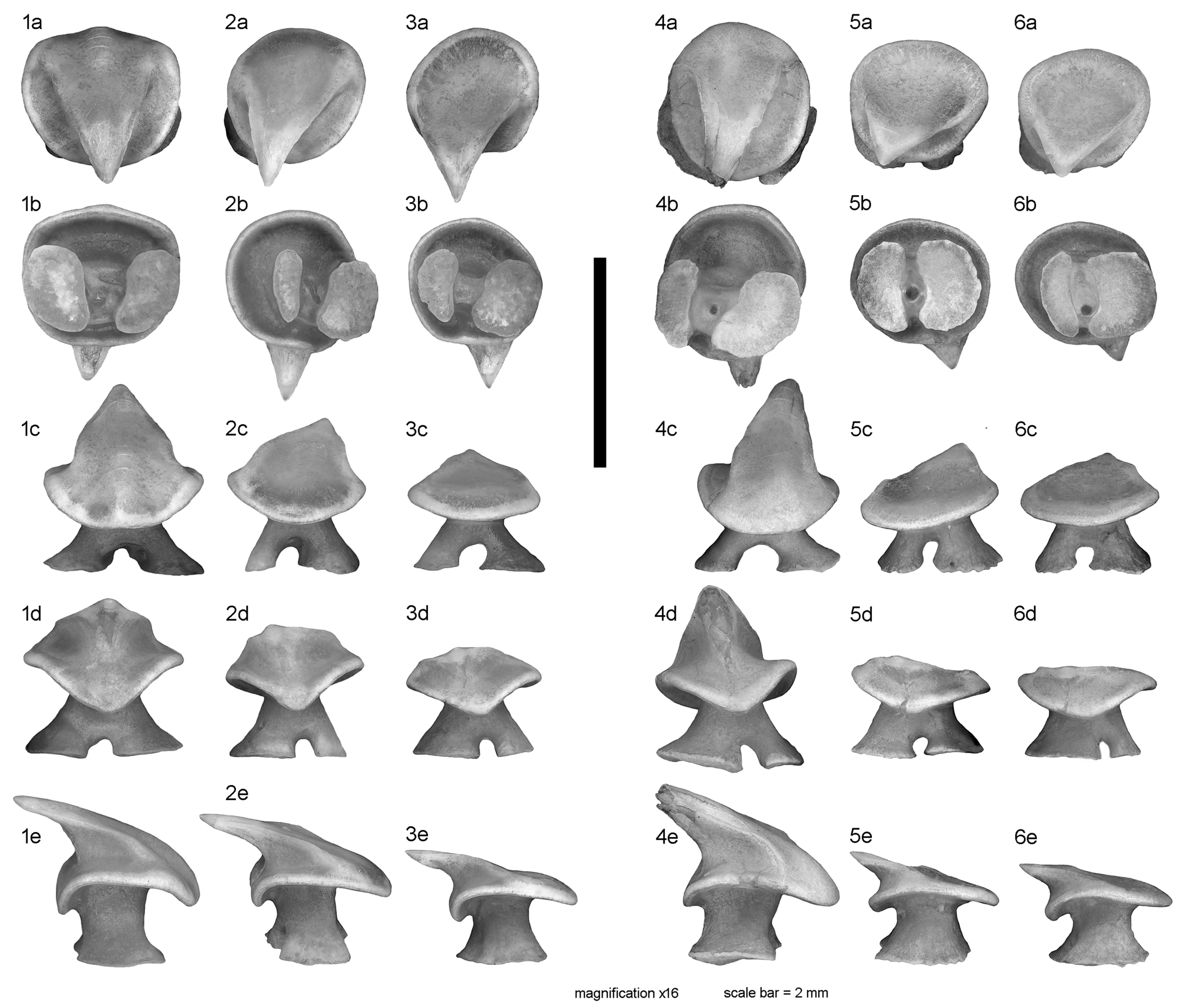 Diversity 15 00899 g002 Diversity 15 00899 g002