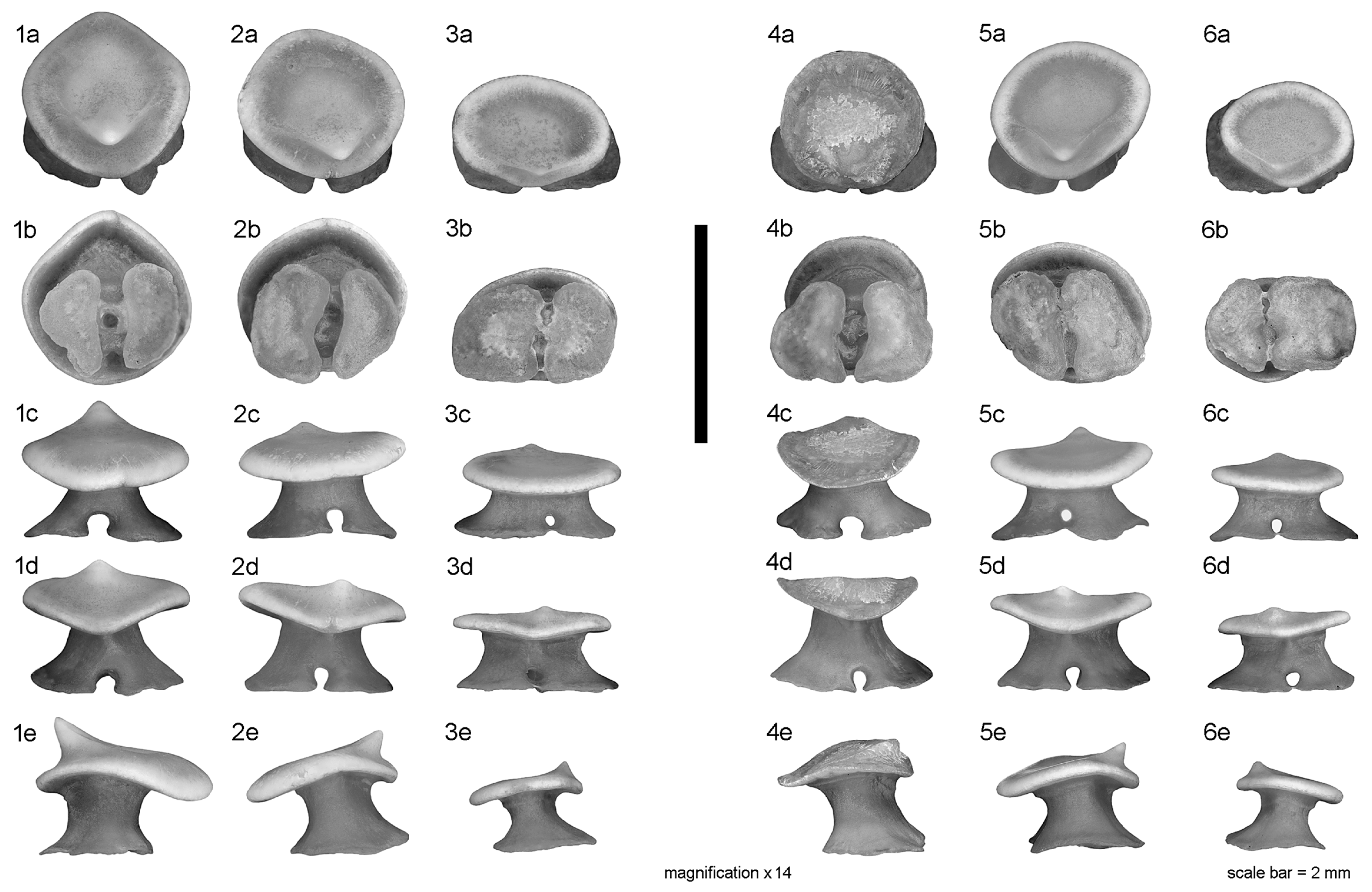 Diversity 15 00899 g003 Diversity 15 00899 g003