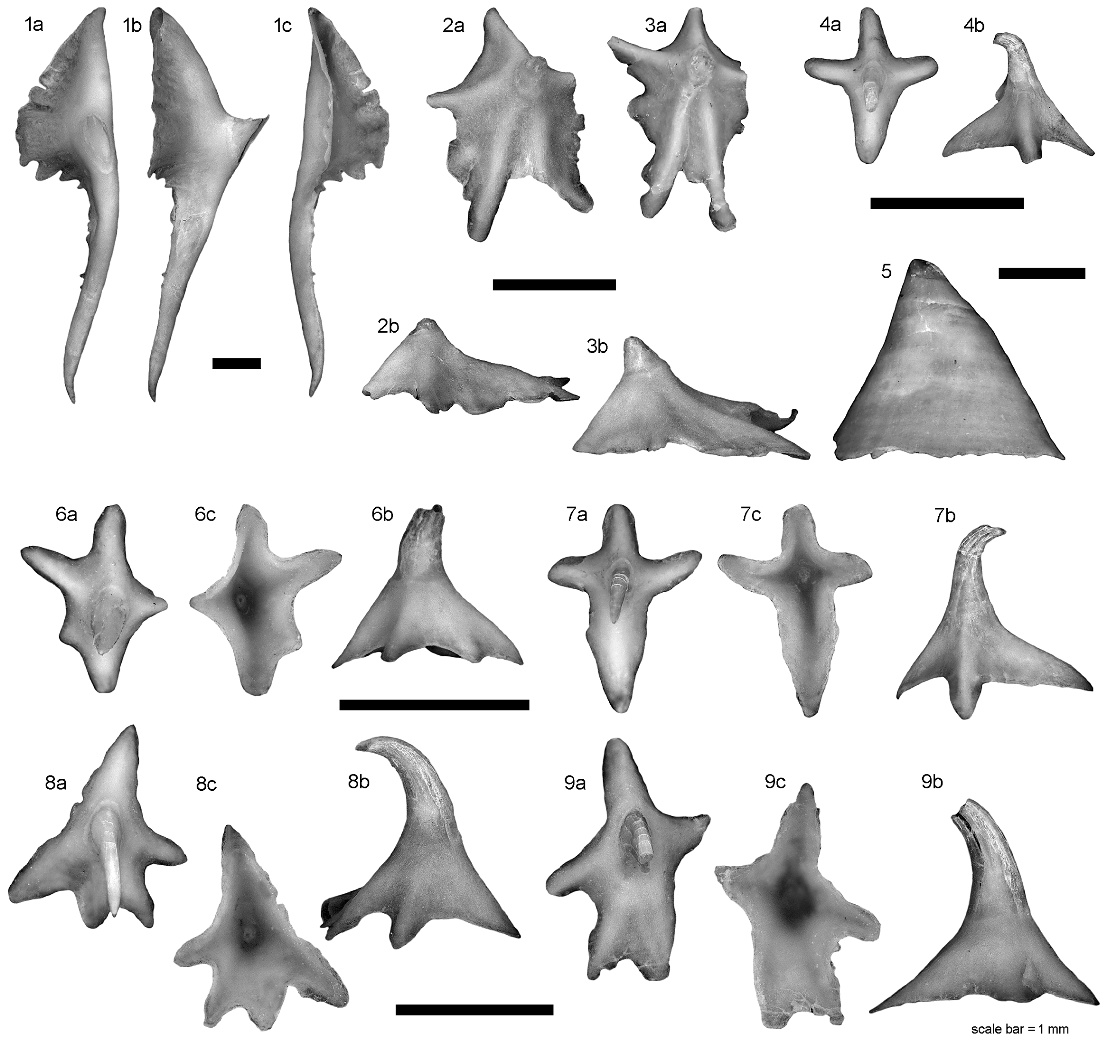 Diversity 15 00899 g004 Diversity 15 00899 g004