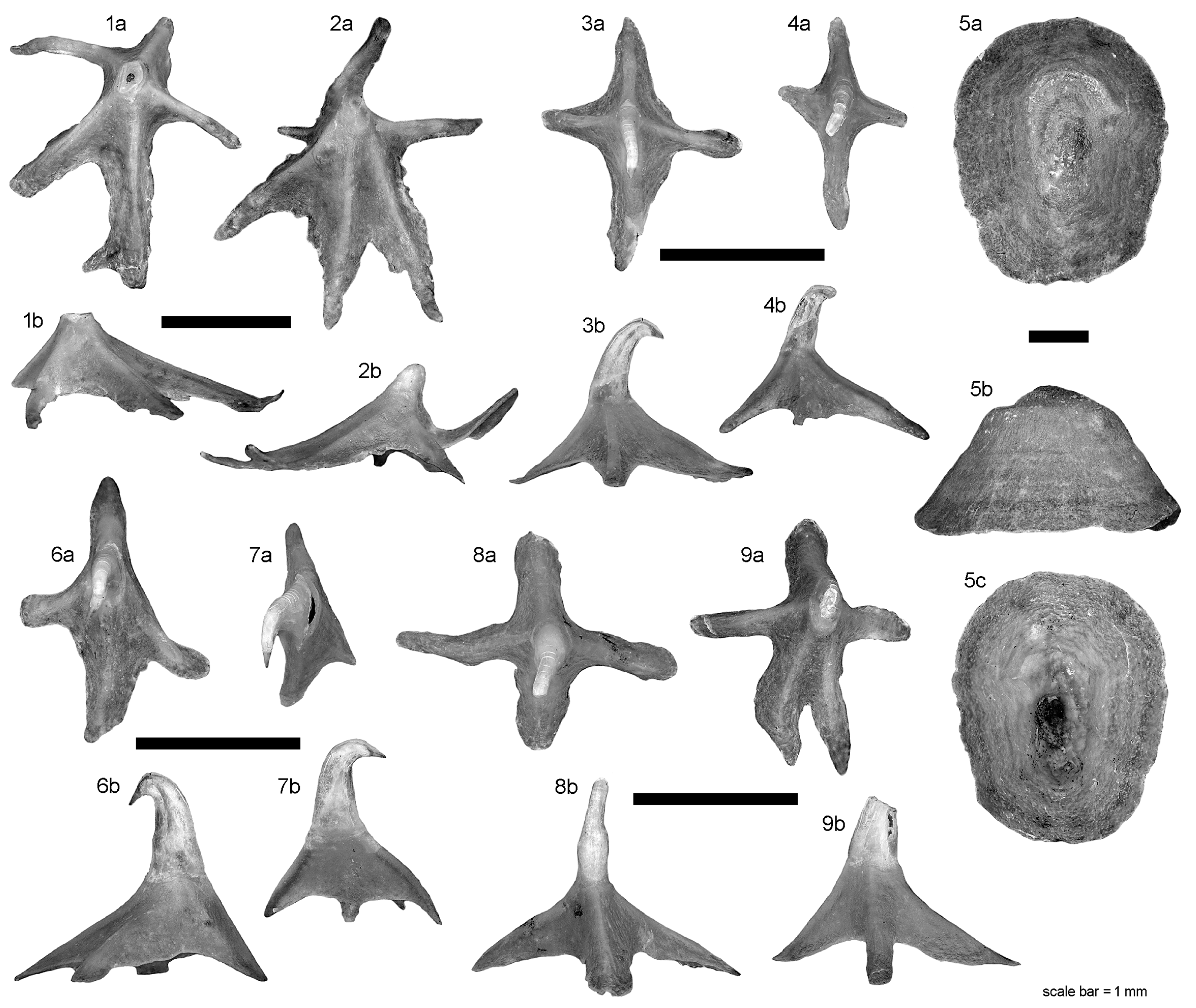 Diversity 15 00899 g005 Diversity 15 00899 g005
