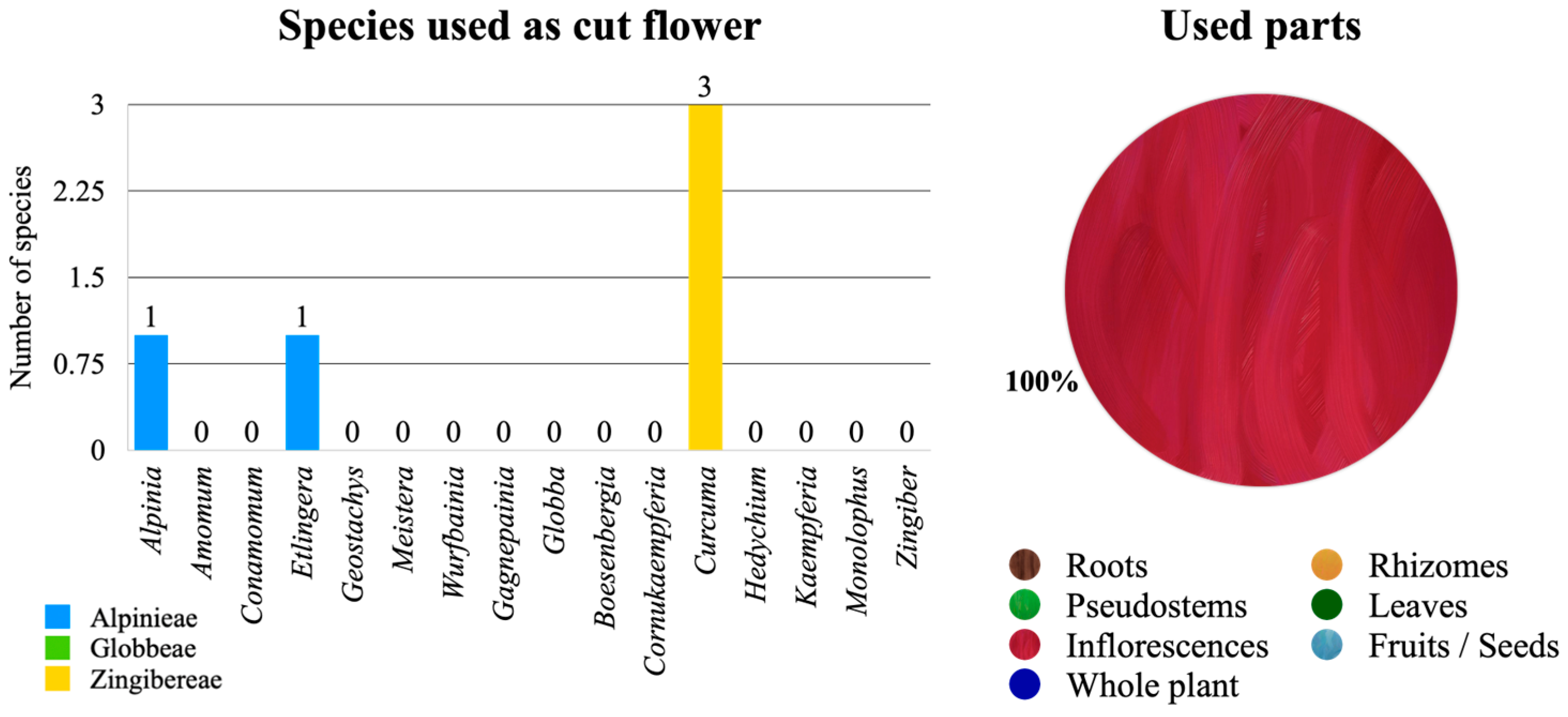 Diversity 15 00904 g011