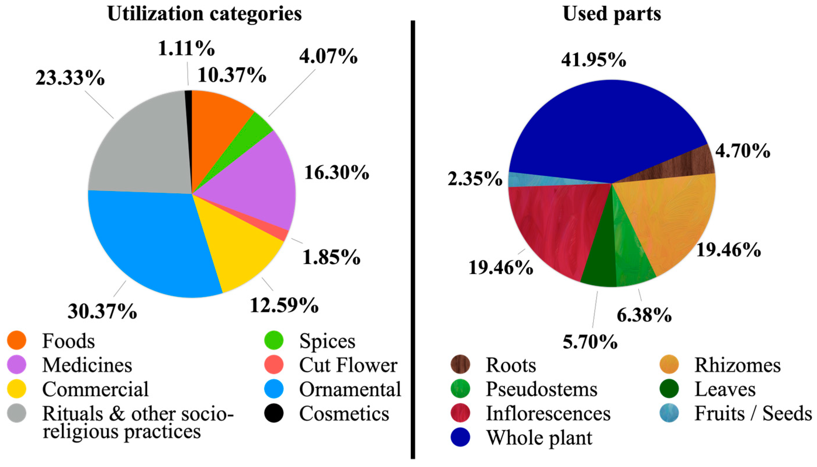 Diversity 15 00904 g016