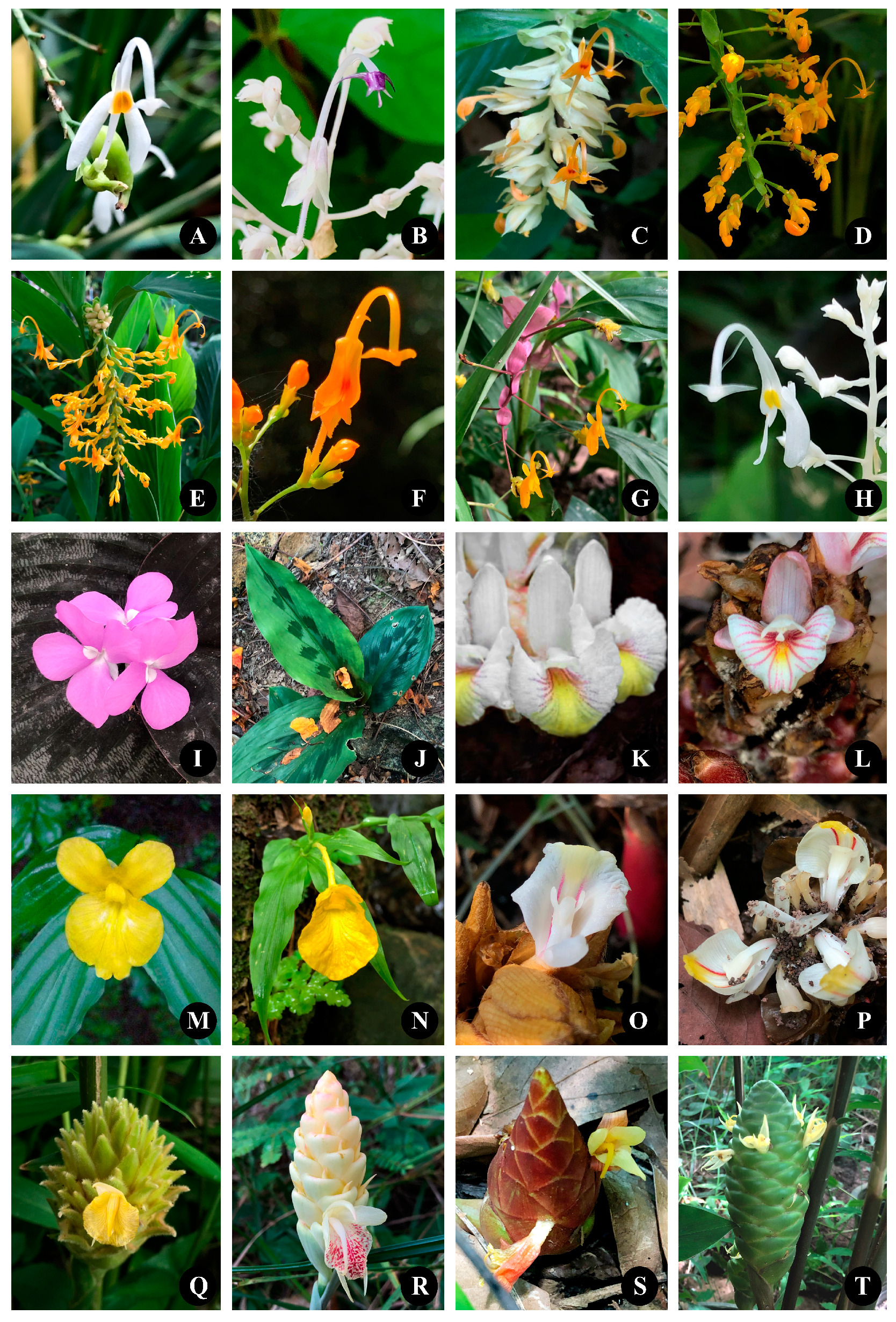 Diversity 15 00904 g018