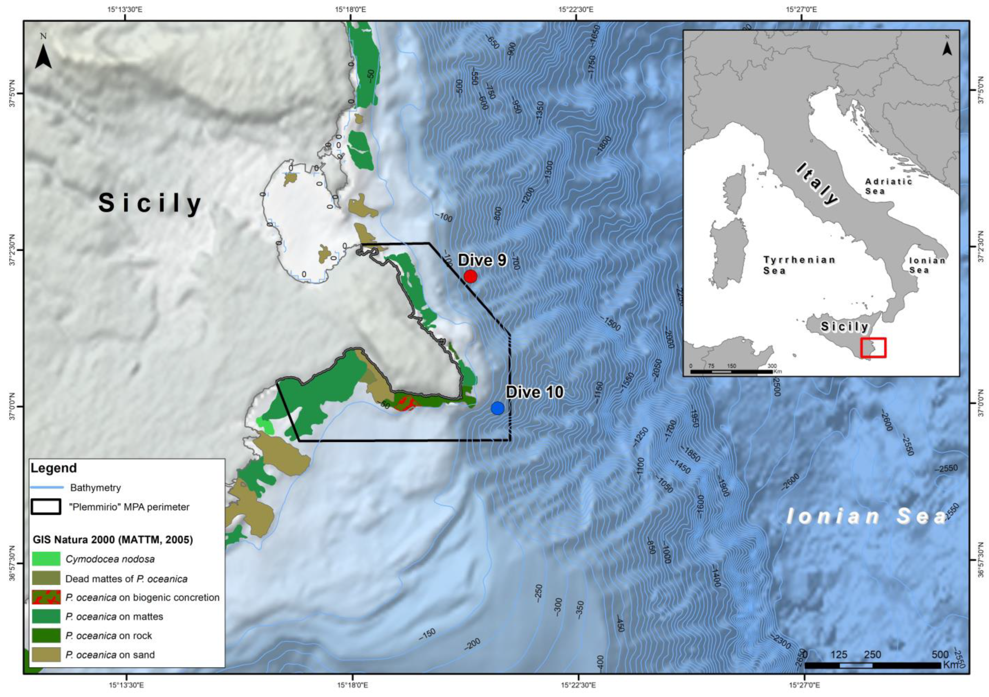 Diversity 15 00906 g001