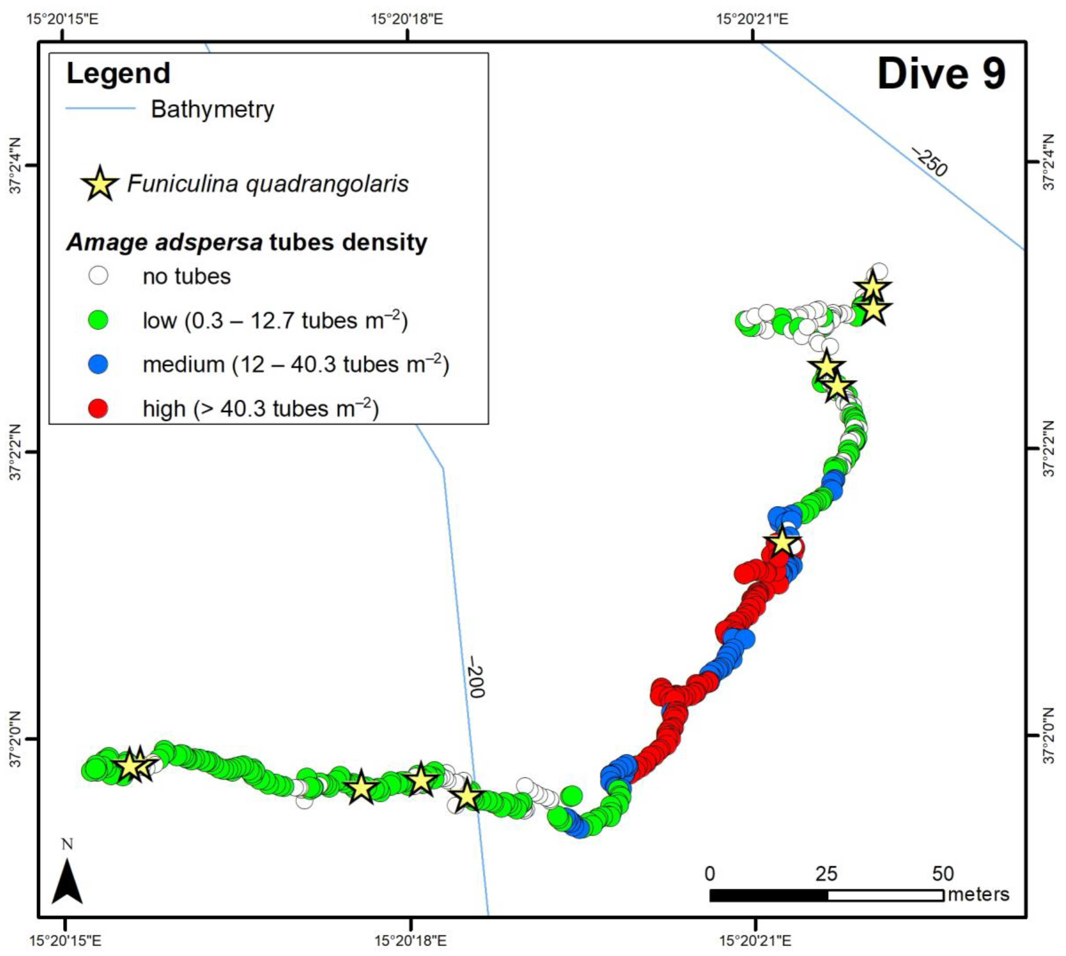 Diversity 15 00906 g004a