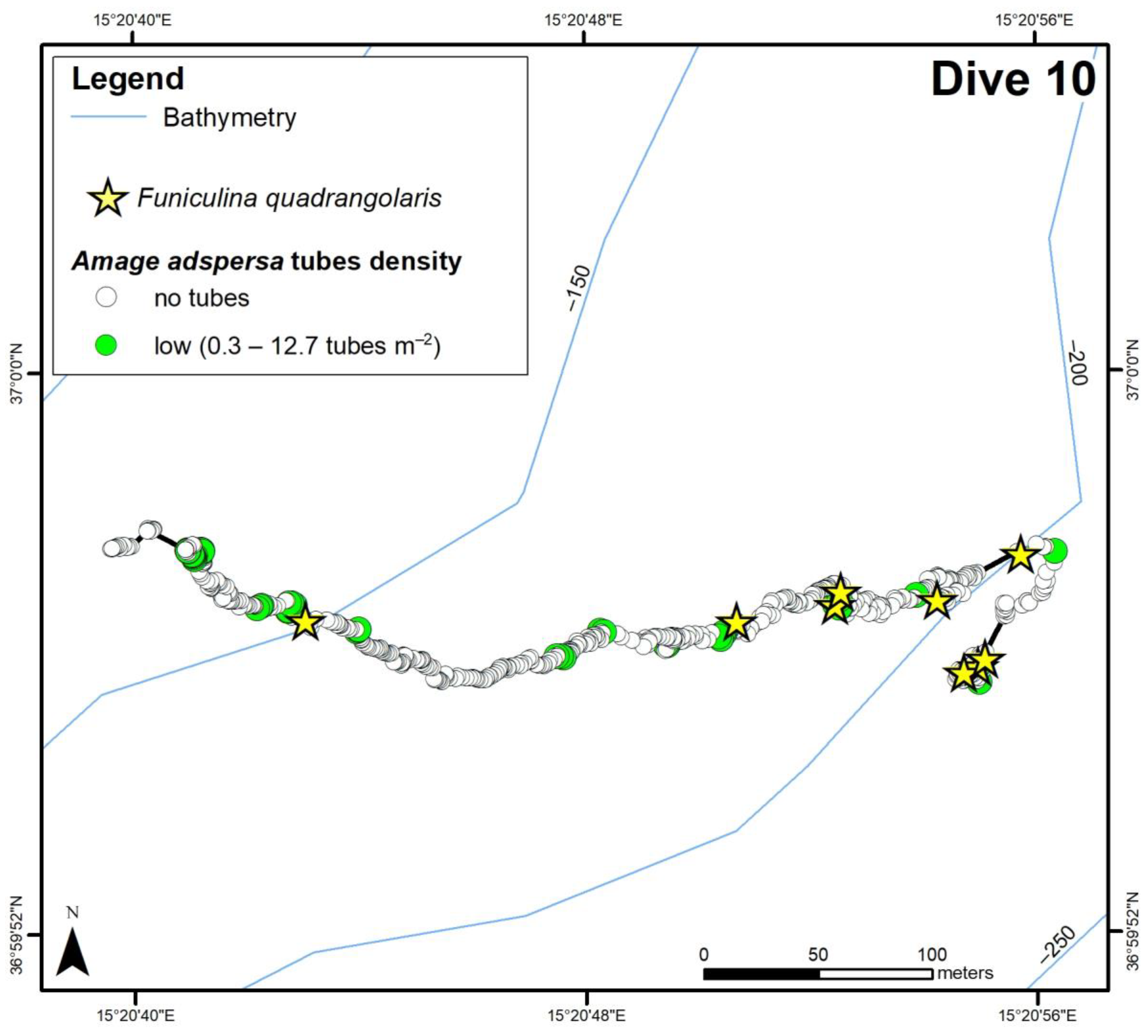 Diversity 15 00906 g004b