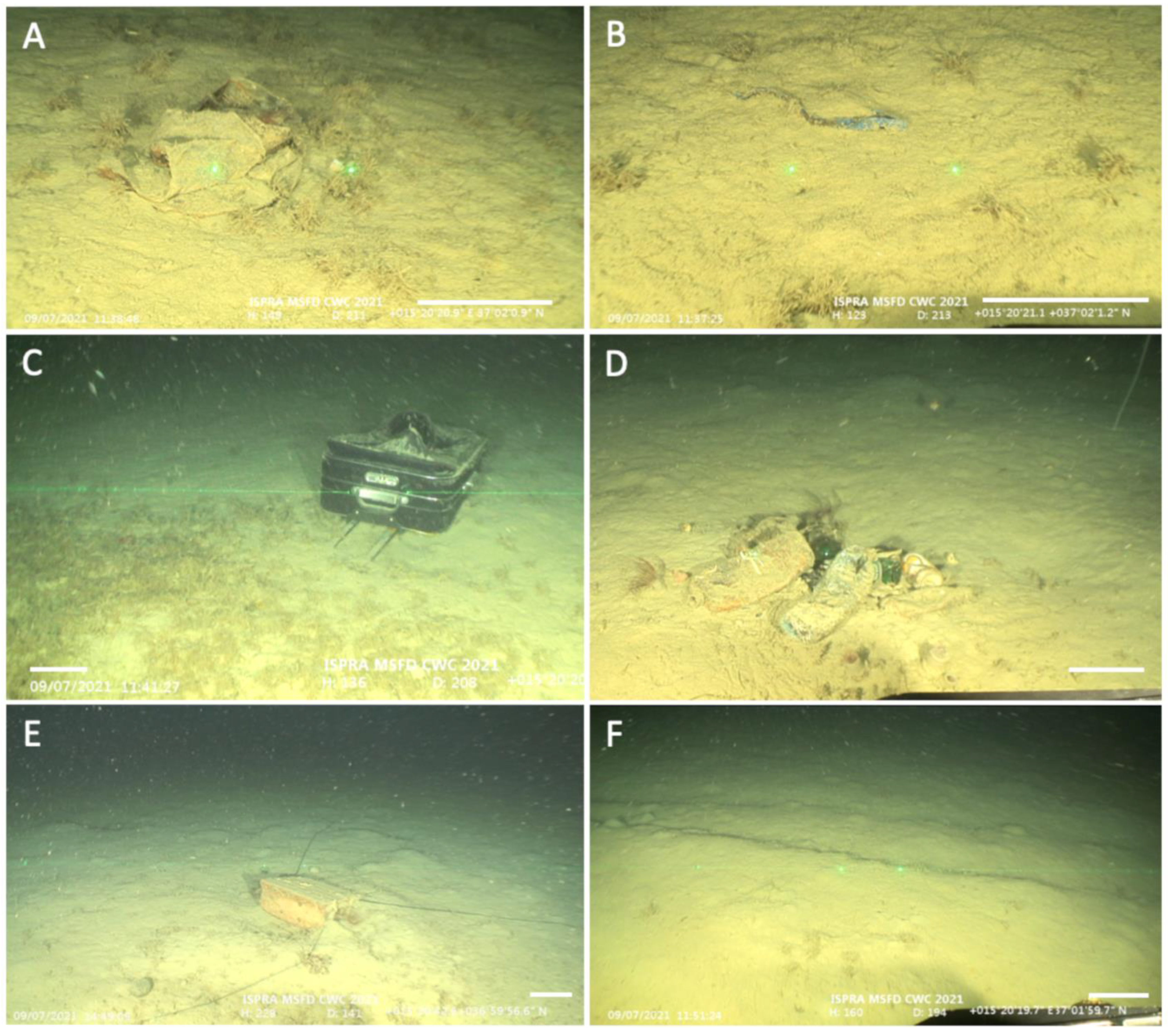 Diversity 15 00906 g007