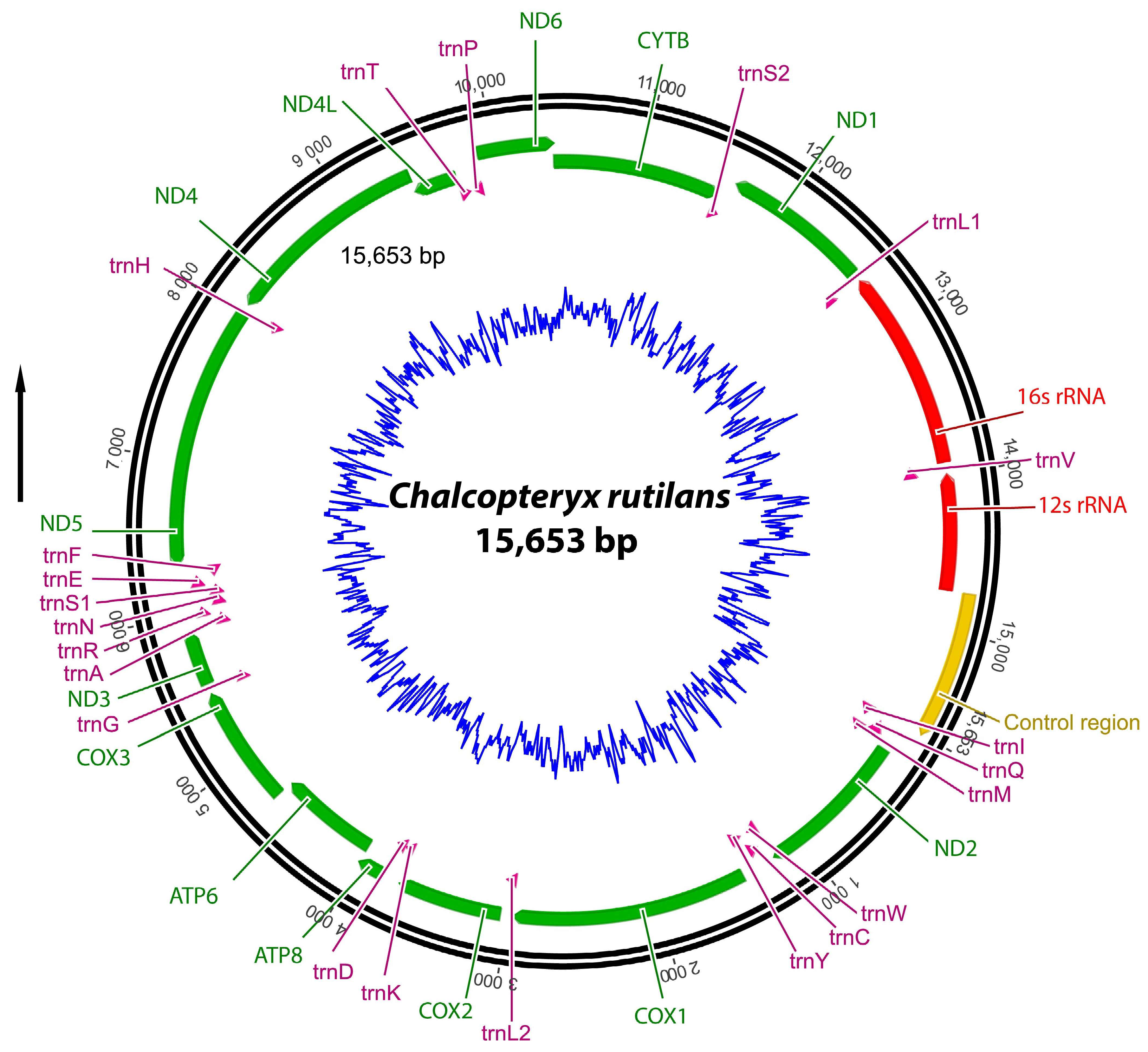 Diversity 15 00908 g002 Diversity 15 00908 g002