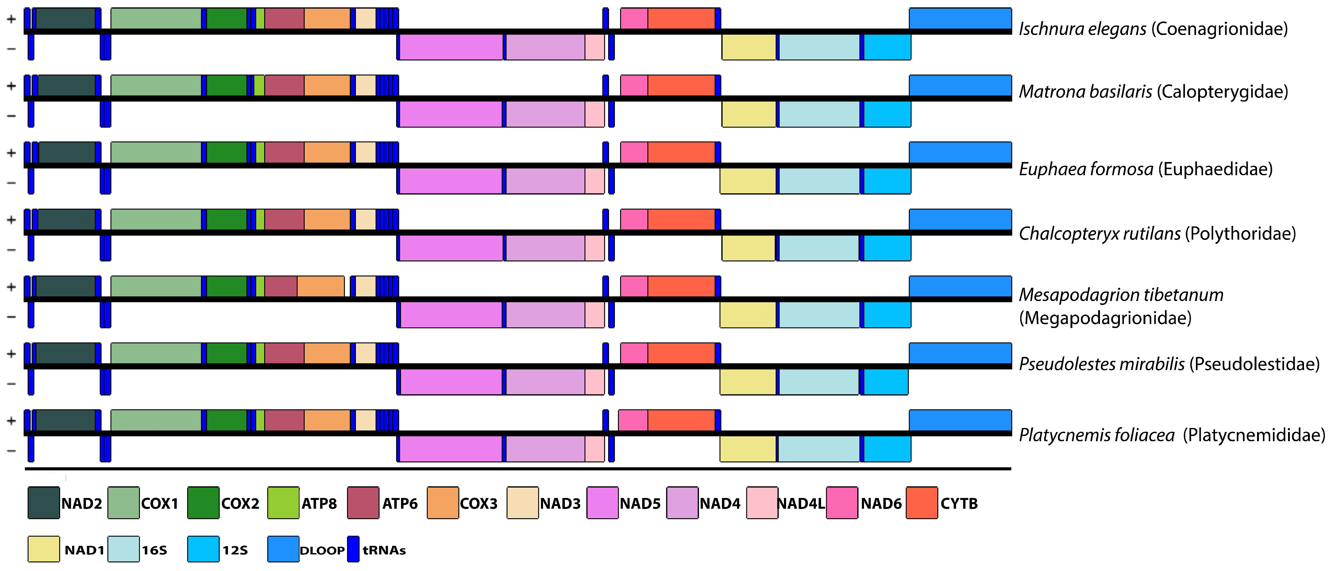 Diversity 15 00908 g003 Diversity 15 00908 g003