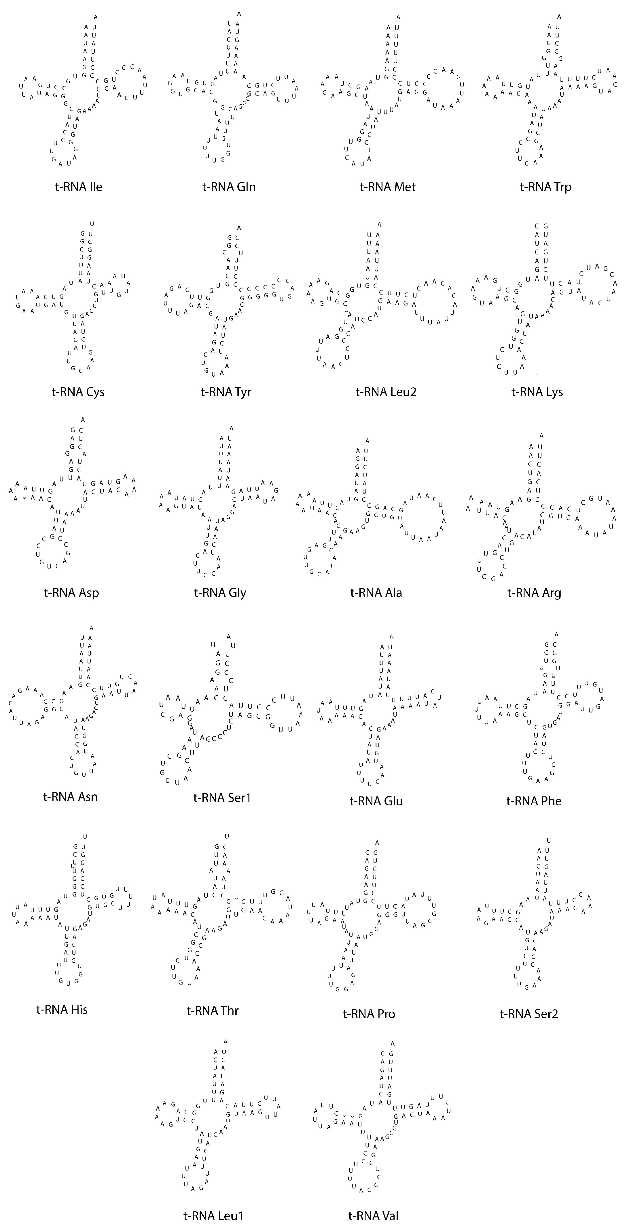 Diversity 15 00908 g005 Diversity 15 00908 g005