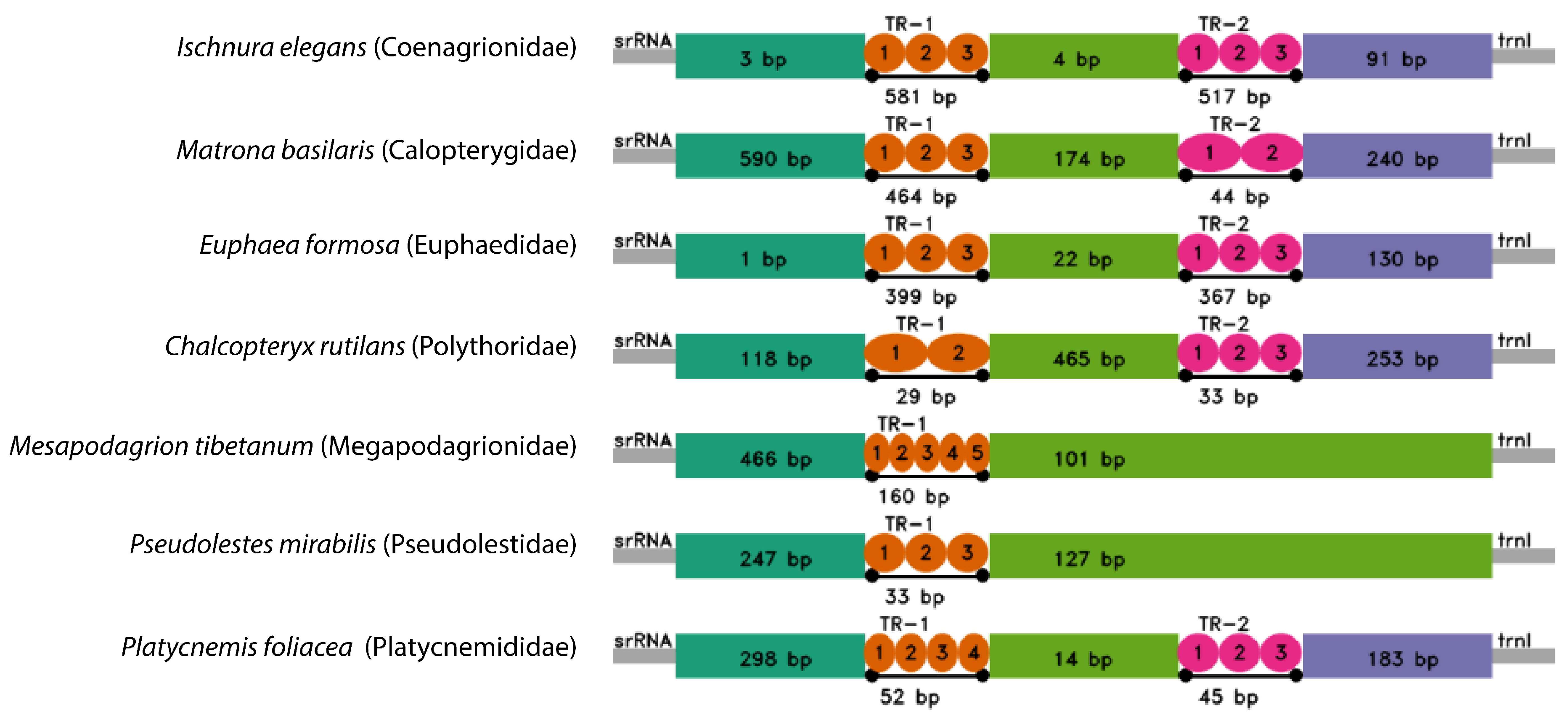 Diversity 15 00908 g006 Diversity 15 00908 g006