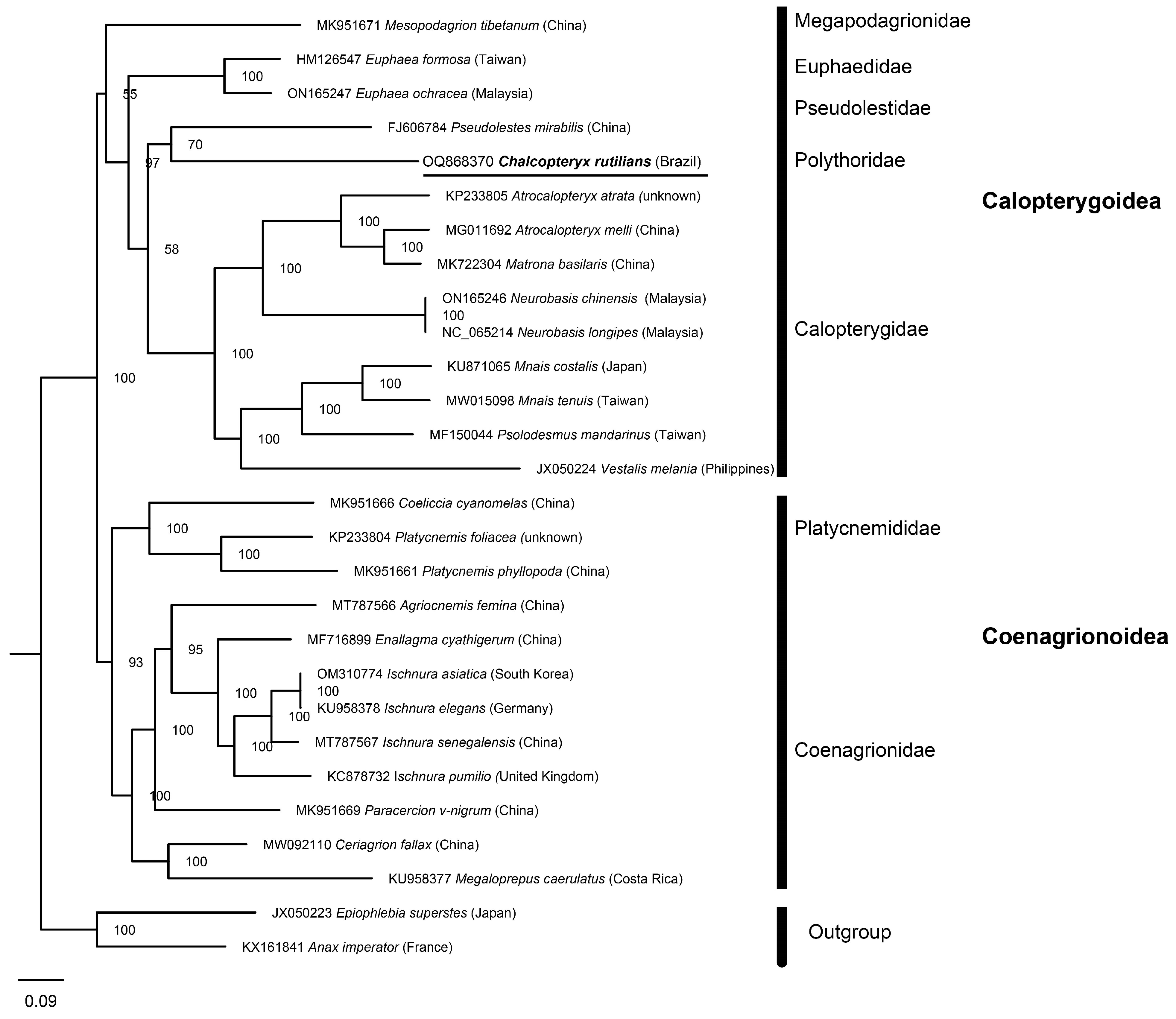 Diversity 15 00908 g007 Diversity 15 00908 g007