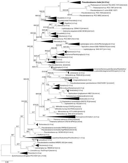 Diversity 15 00909 g002