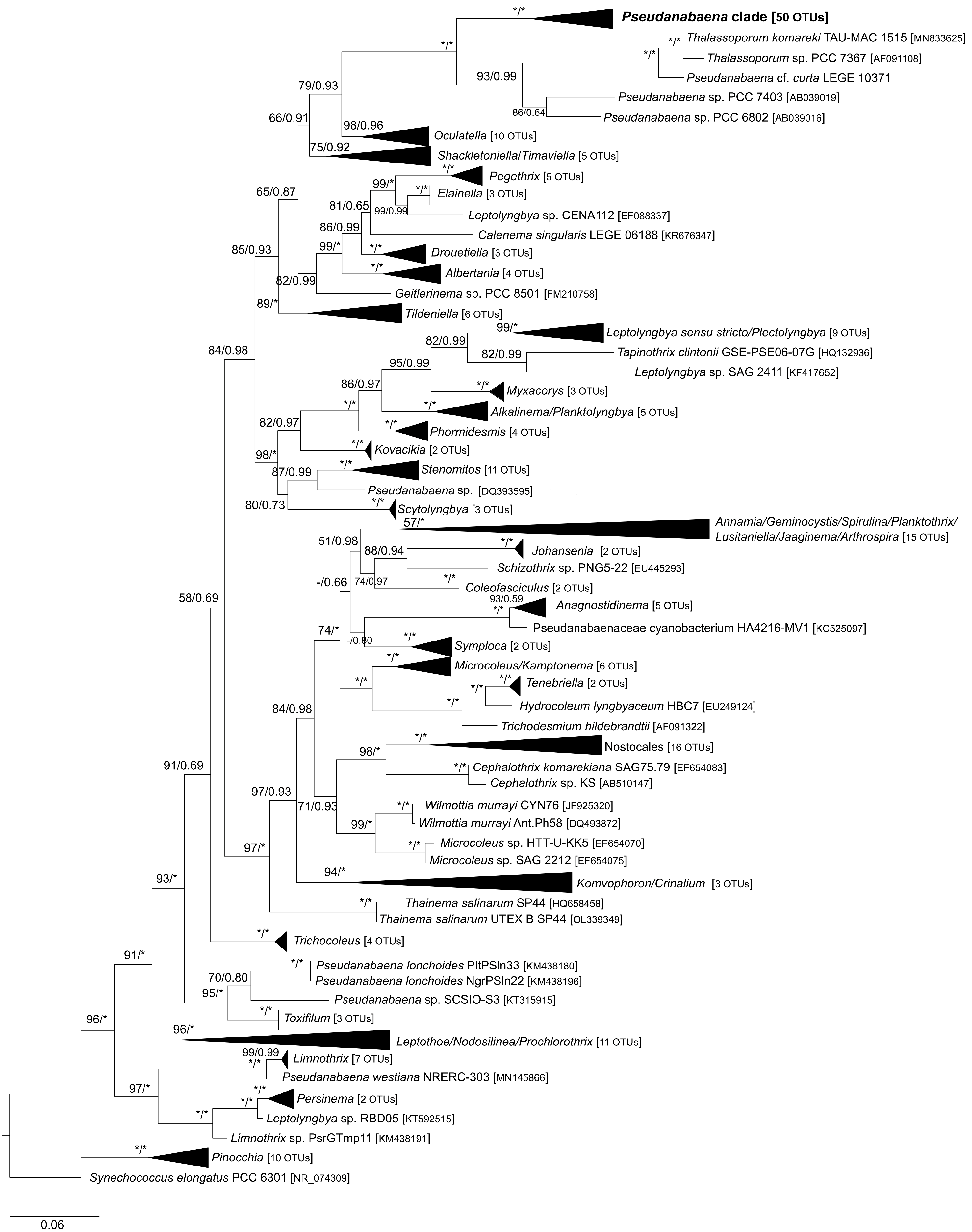 Diversity 15 00909 g002