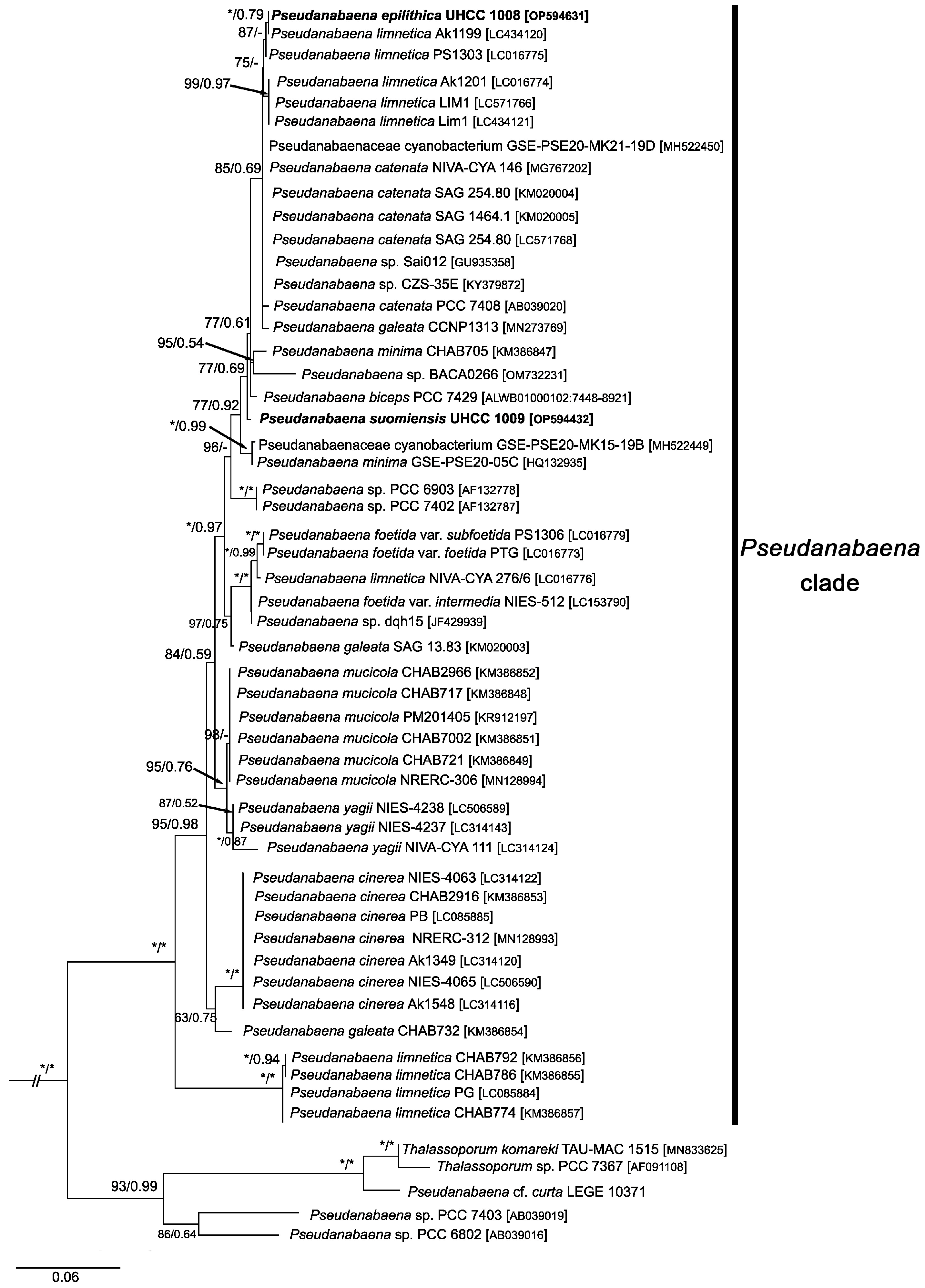 Diversity 15 00909 g003