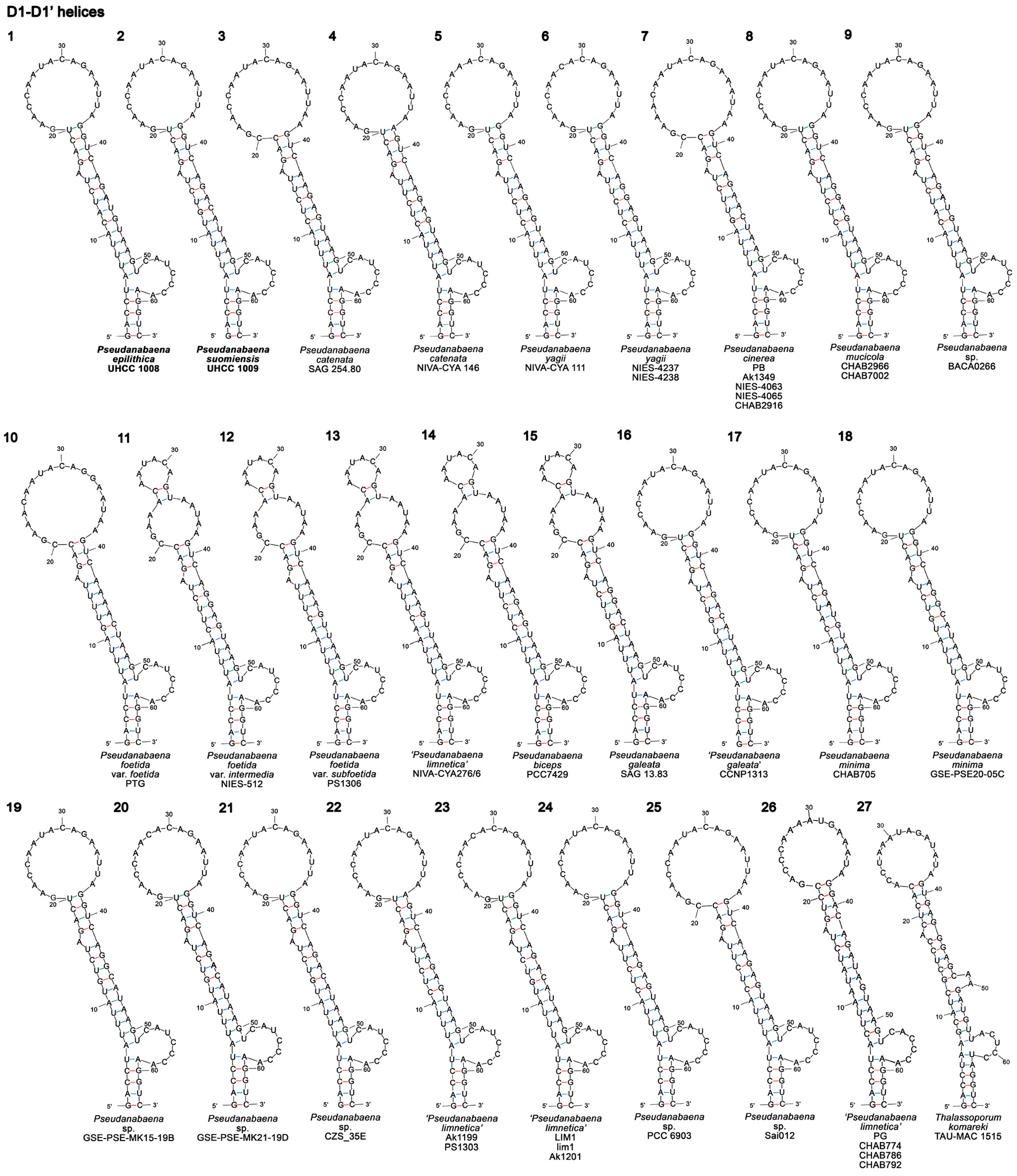 Diversity 15 00909 g005