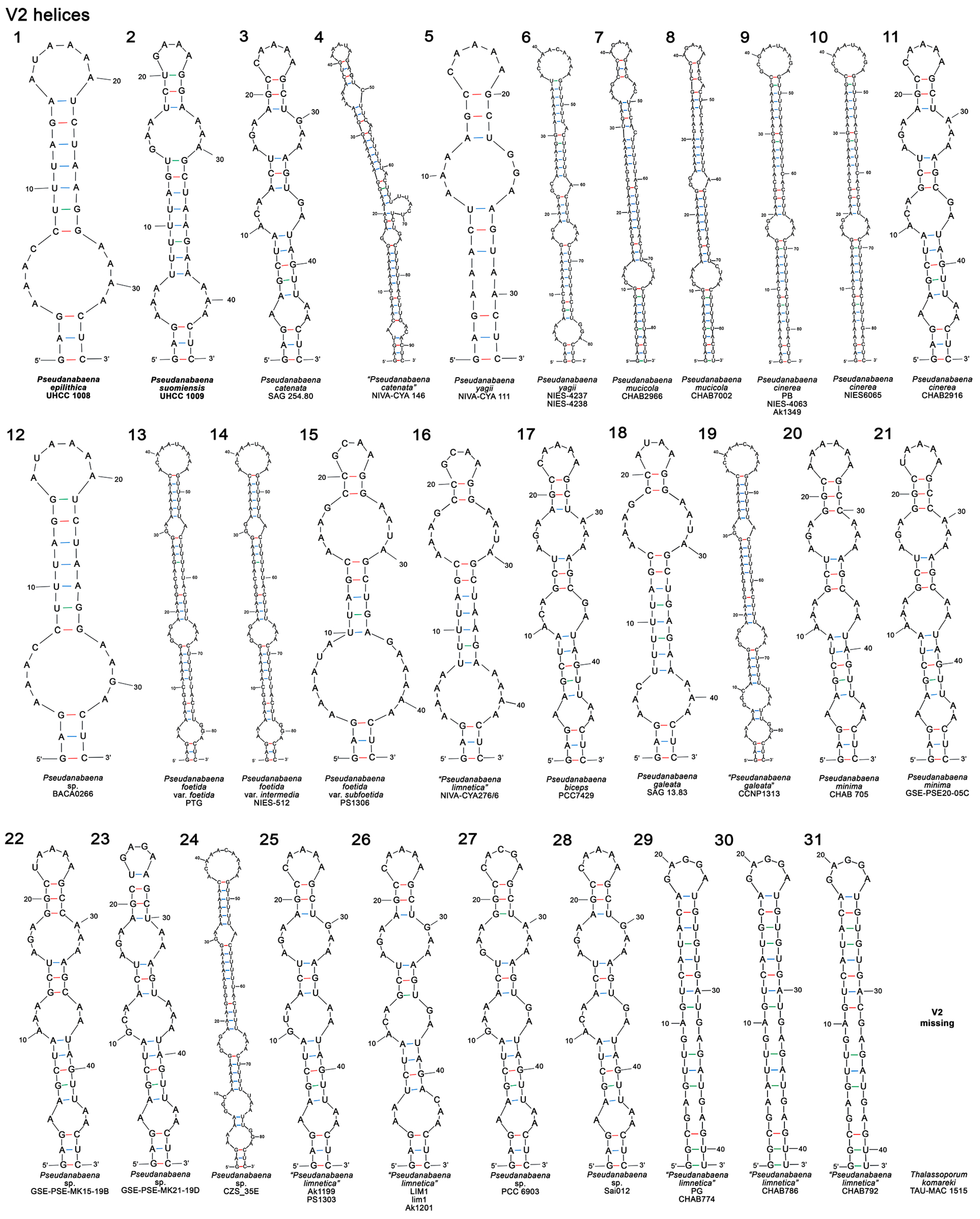 Diversity 15 00909 g007