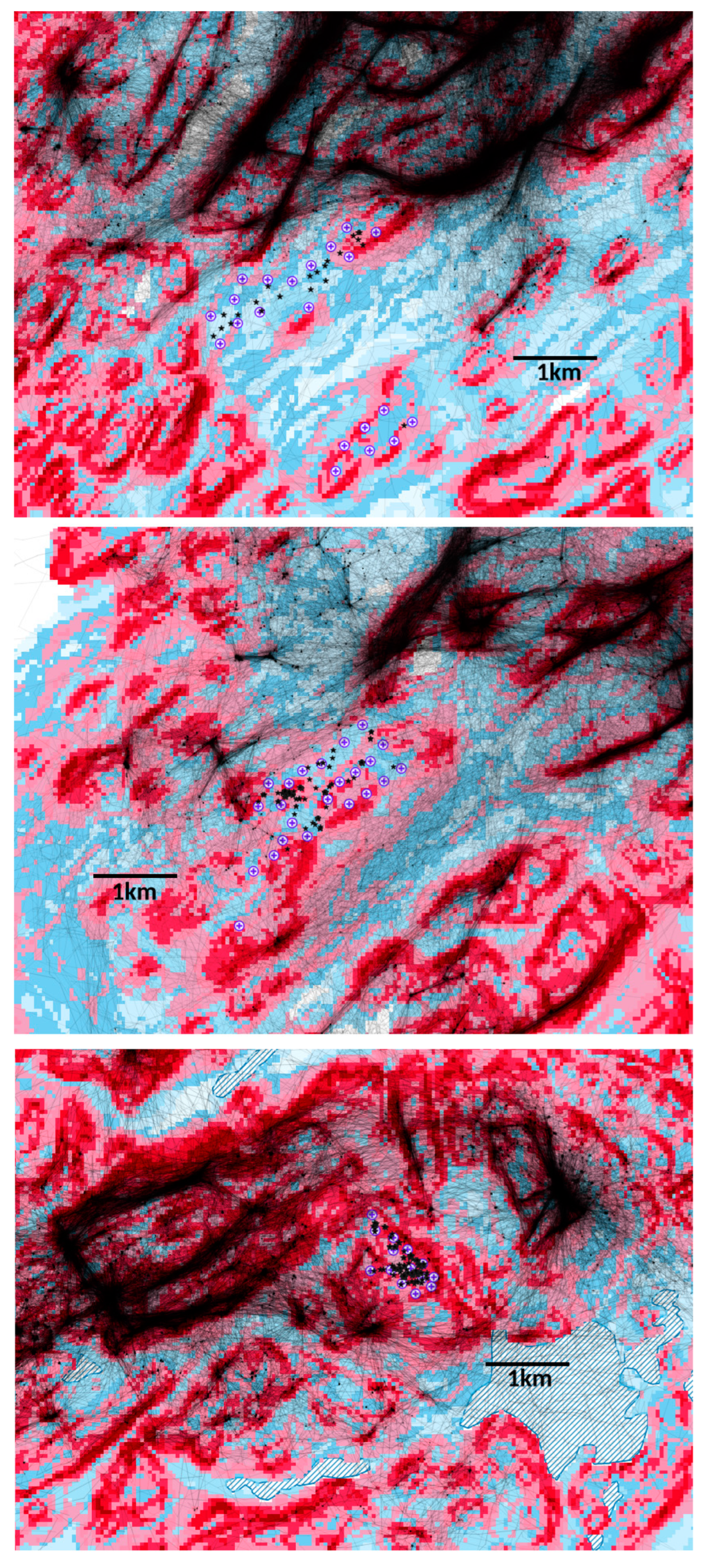 Diversity 15 00917 g002