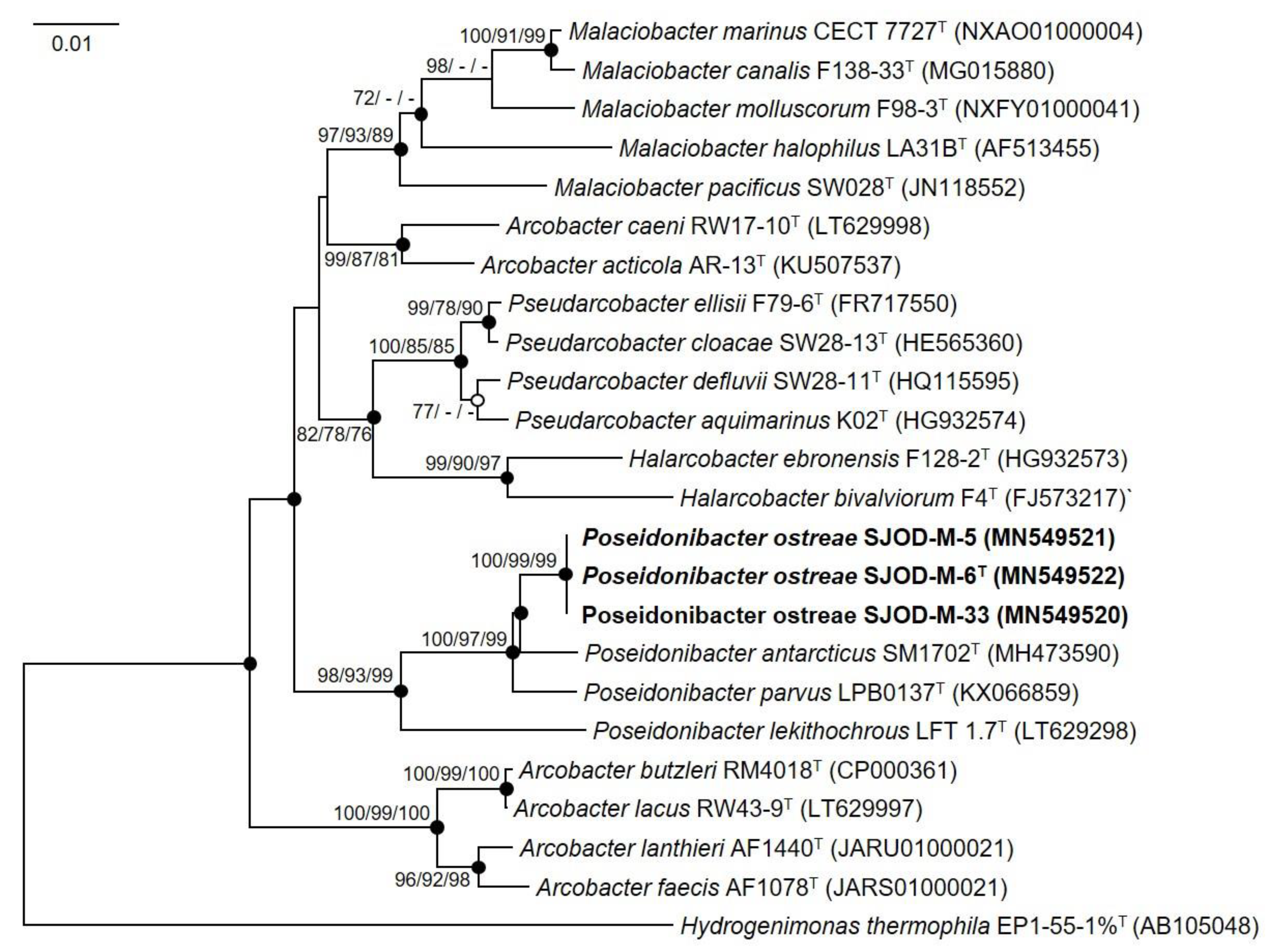 Diversity 15 00920 g001