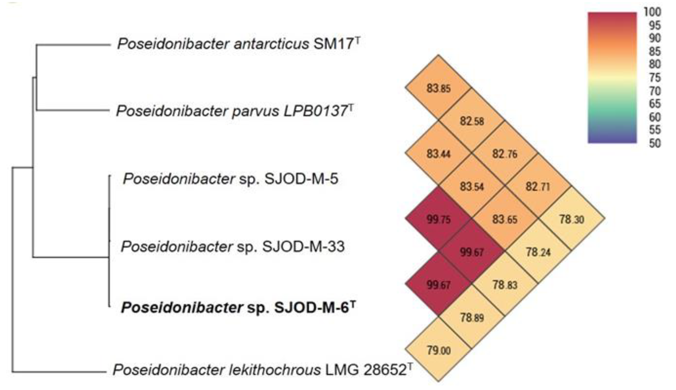 Diversity 15 00920 g002