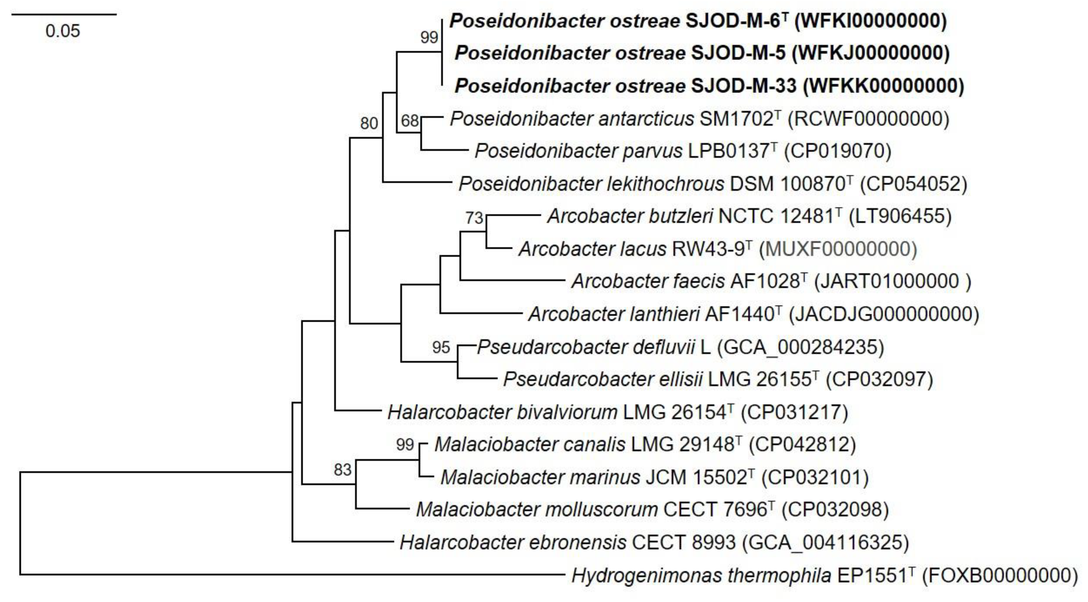 Diversity 15 00920 g003
