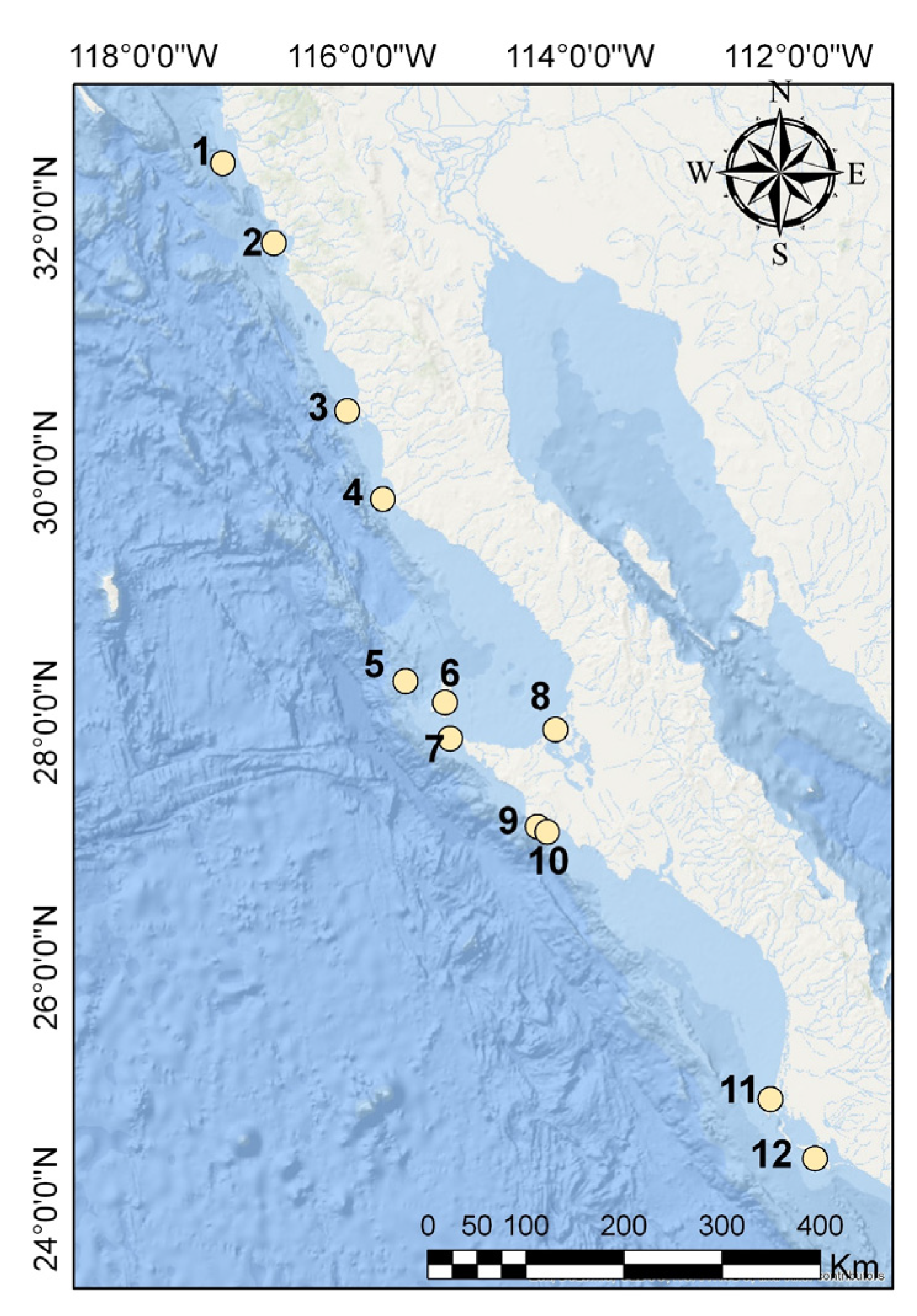 Diversity 15 00921 g002