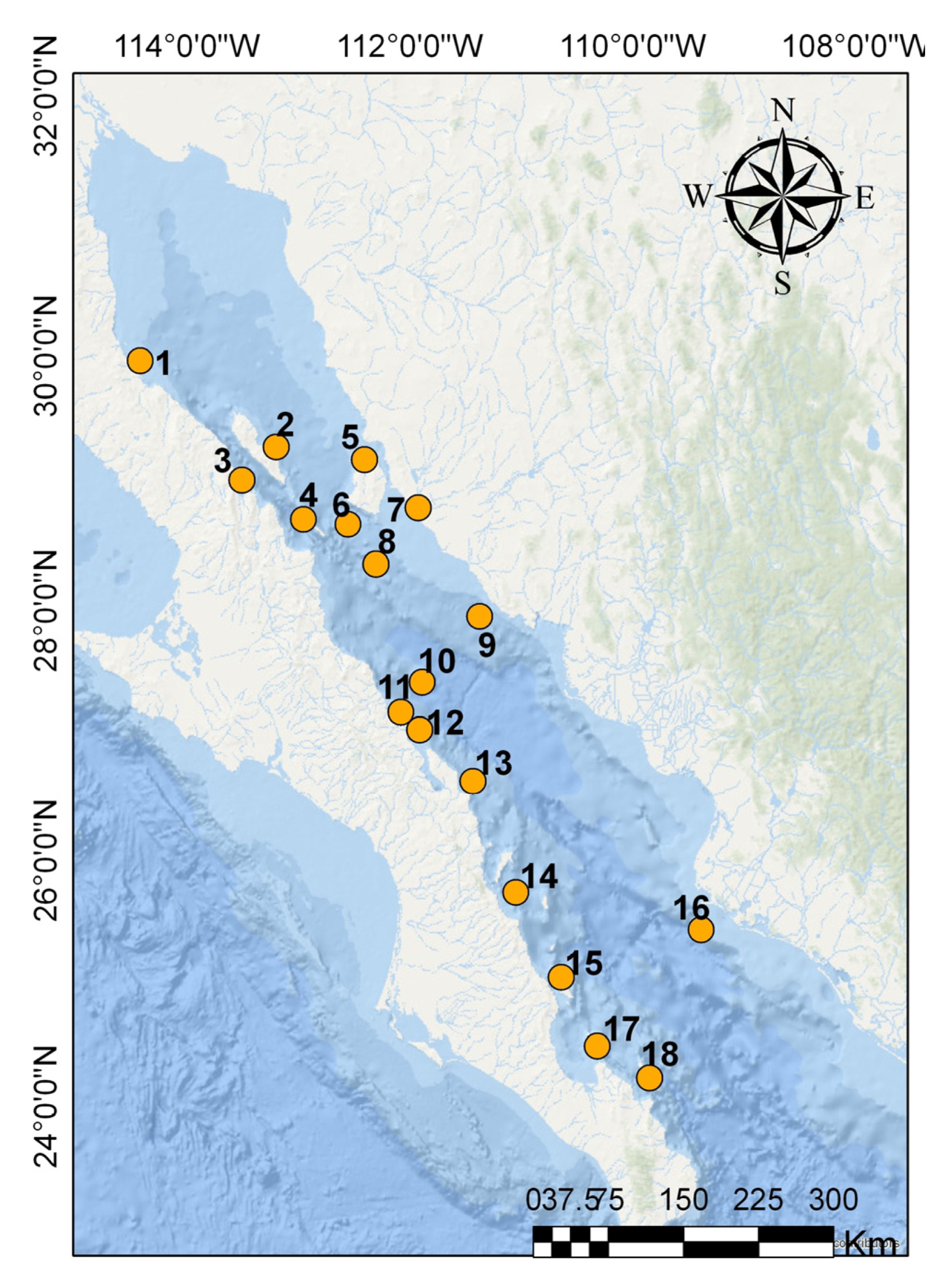 Diversity 15 00921 g004