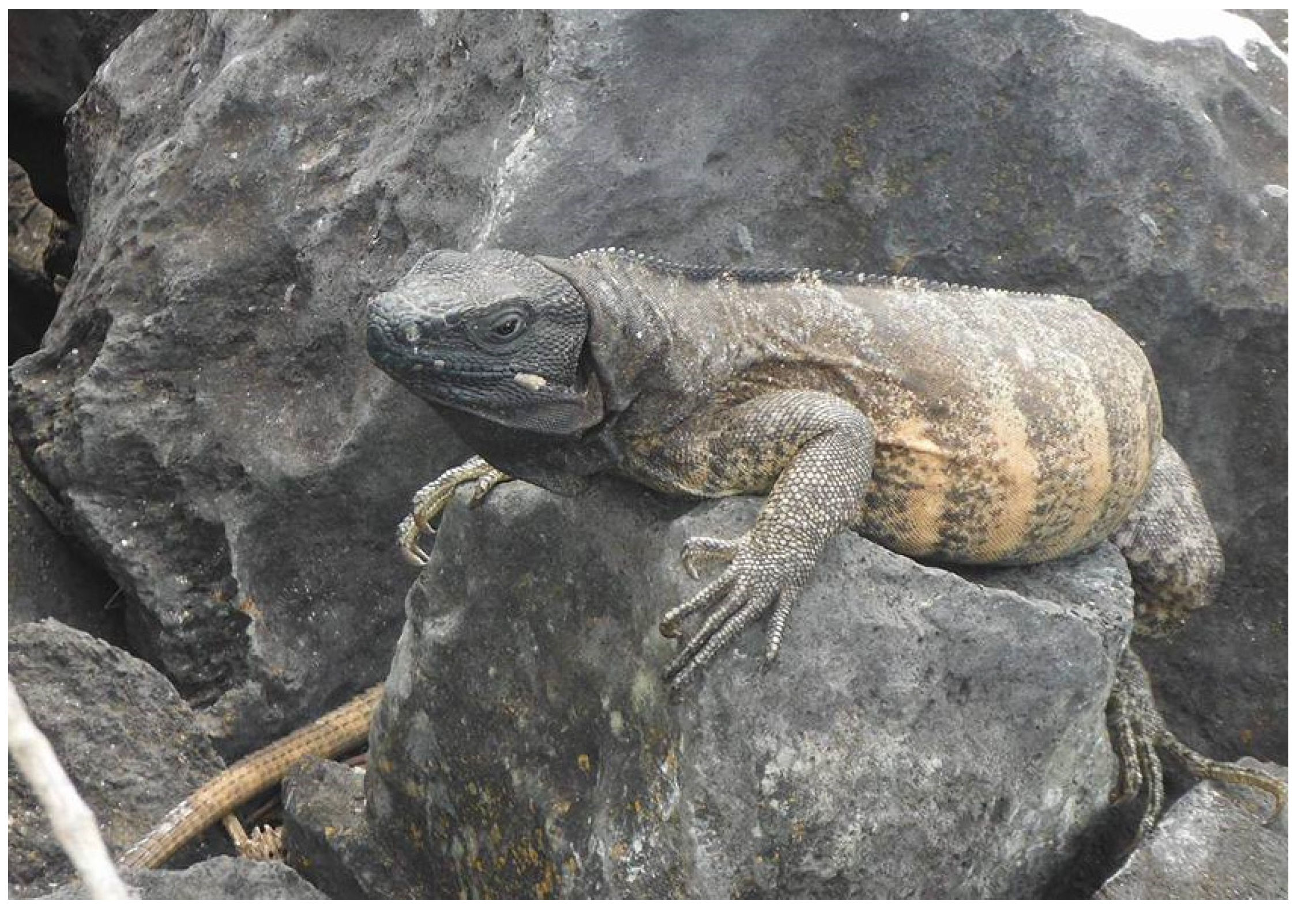 Diversity 15 00921 g013