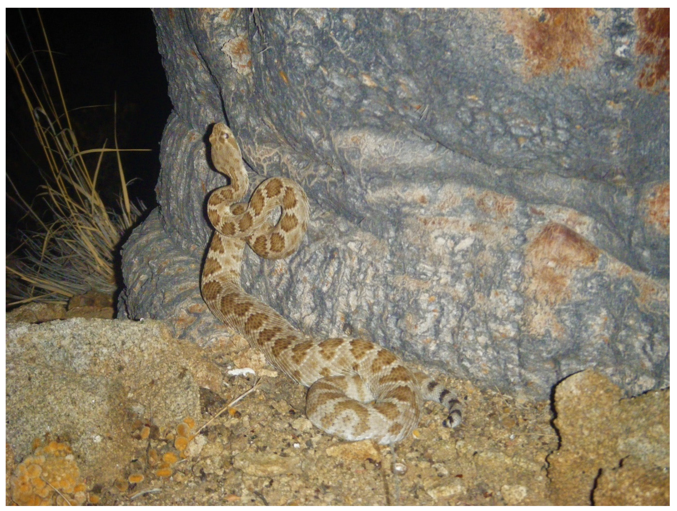 Diversity 15 00921 g016