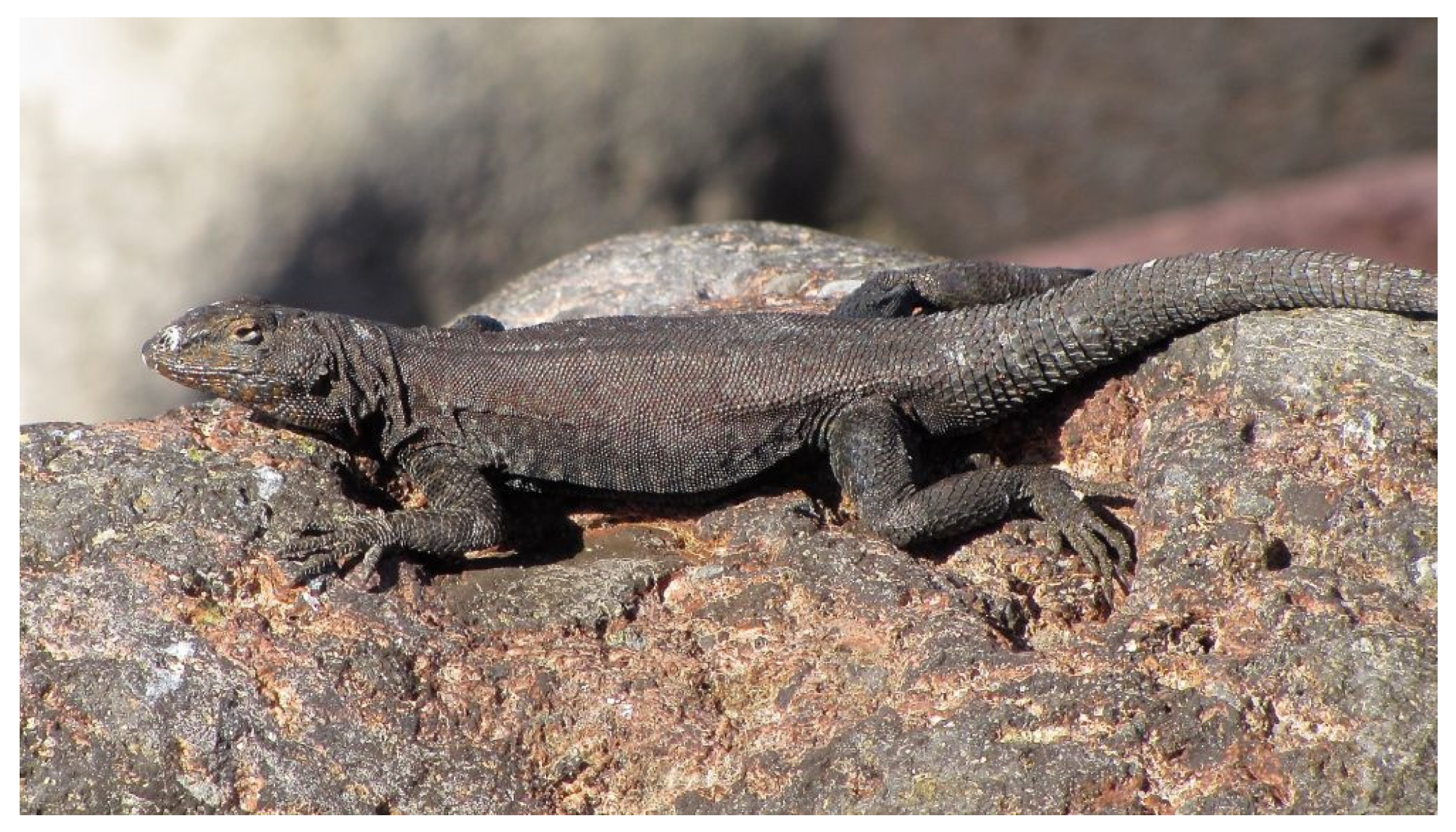 Diversity 15 00921 g018